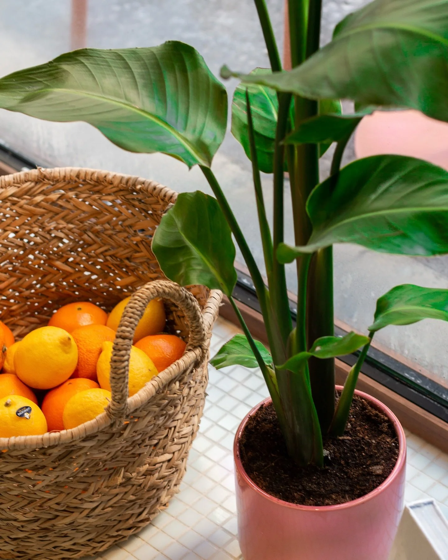 la Vibe ZAZA

#FreshMood #ZazaEnergy #GoodVibesOnly #StreetCalm