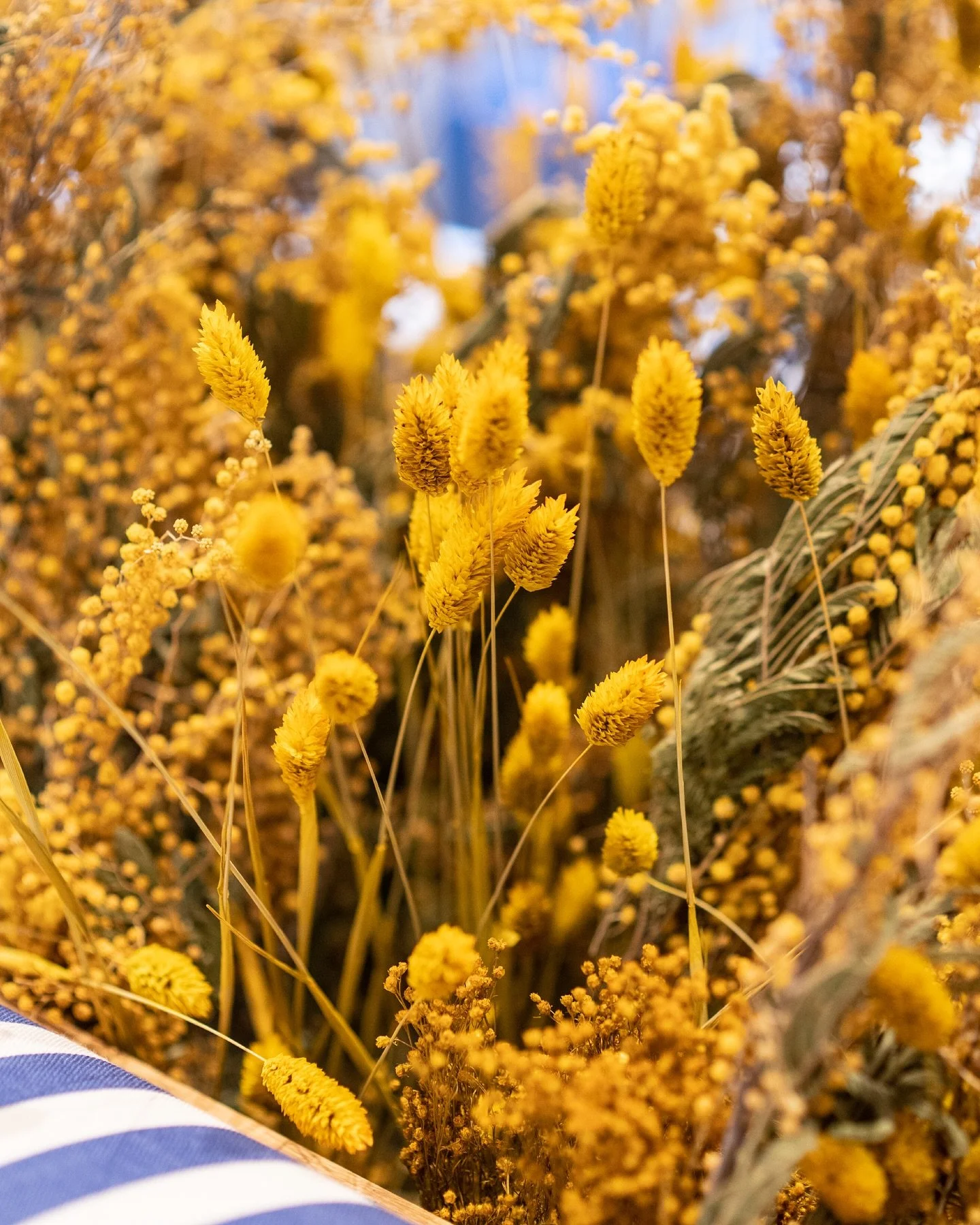 Chez nous, m&ecirc;me la d&eacute;co a le go&ucirc;t du soleil
📍Galeries Lafayette Gourmet
📍7 rue Saint-Augustin, 75002 Paris
📍52 Quai Alphonse le Gallo, 92100 Boulogne Billancourt
📍A&eacute;roport de Nice
 #Bagnard #BagnardParis #ParisRestaurant