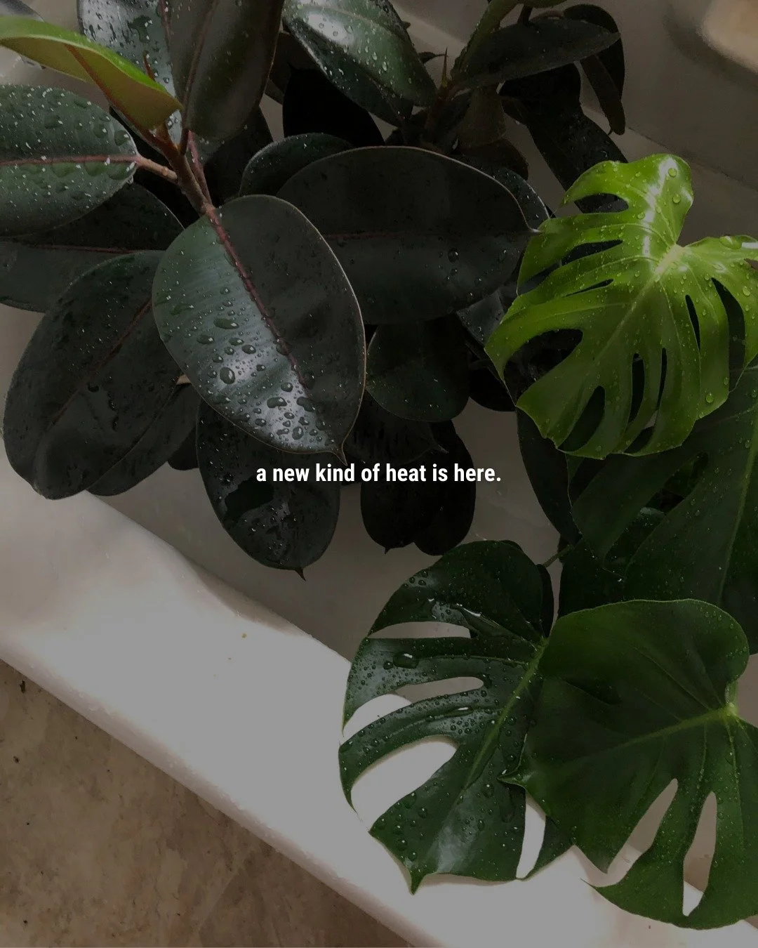 Infrared heating is keeping things toasty on Filbert Street. 🔥

Your invitation, as always, to take things at your own pace, listen to your body, and drink plenty of water. ❤️&zwj;🔥

#karmayoga #hotyoga #hotpilates #hothiit #karmayogasf #sfyoga #sa