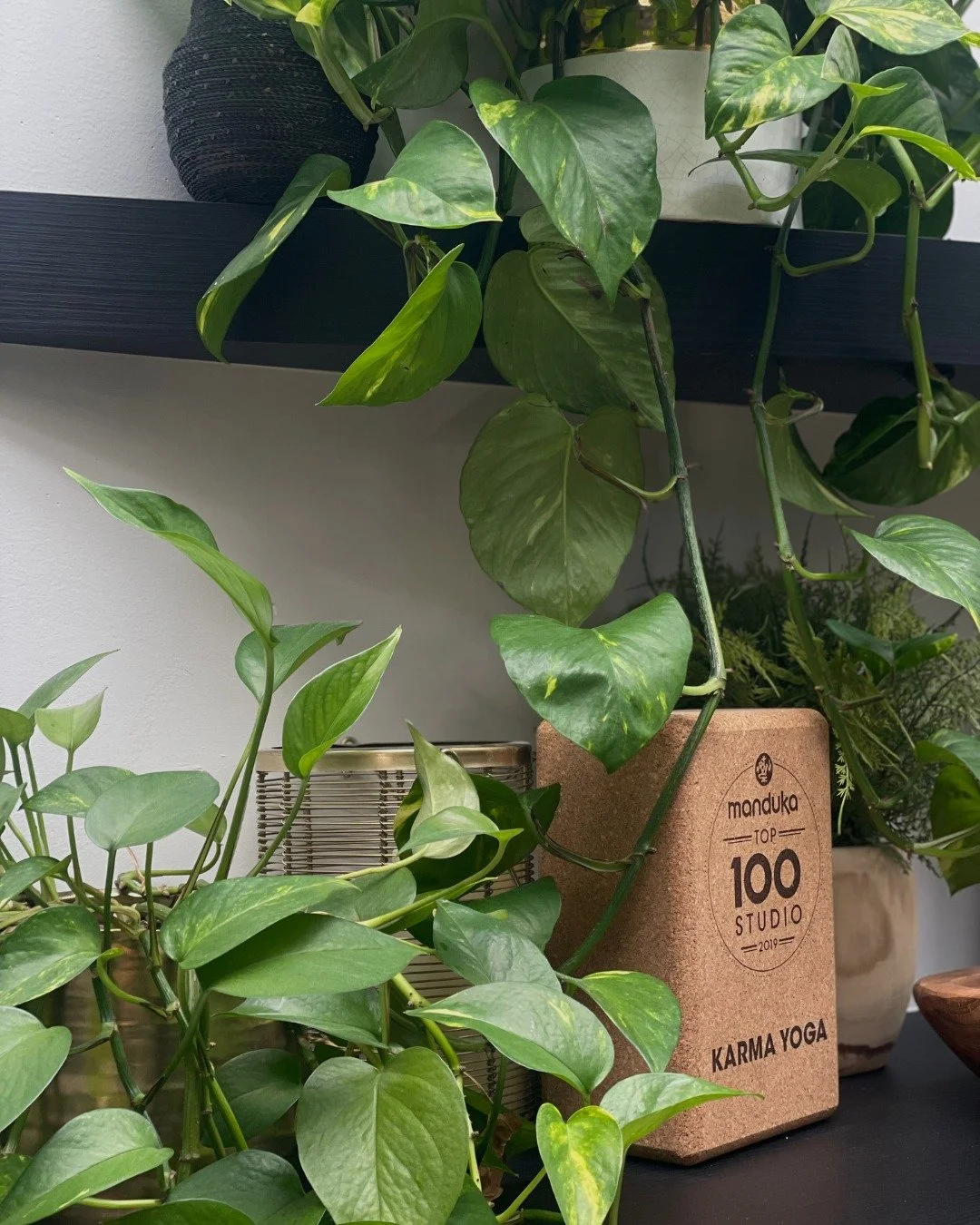 Pro tip: the best way to book your classes is directly through us. 💛

While you can find us on third-party booking platforms, the best perks are reserved for members and direct bookings.

When you book through the studio, you'll get things like:
✨ B