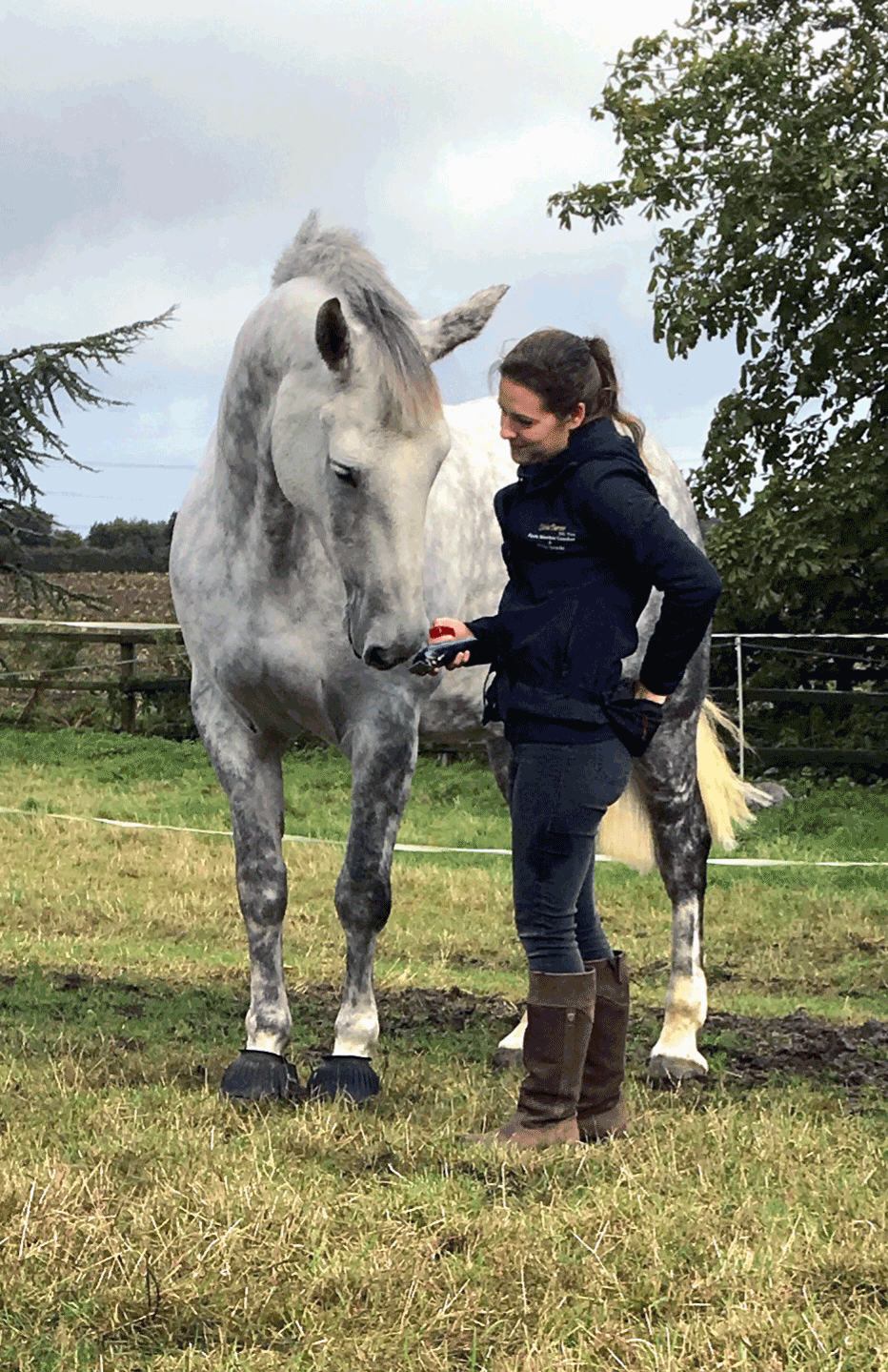 A woman in a black hoodie and tall brown boots standing outside on grass, looking at and holding an object in her hands, next to a tall white and gray speckled horse, with trees and a fence in the background.