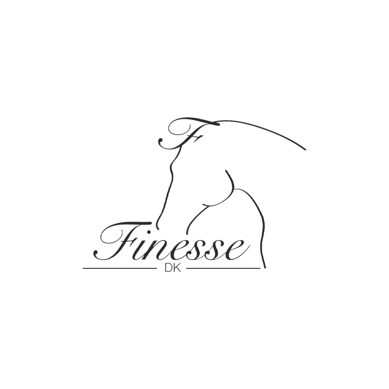 Finesse-.png