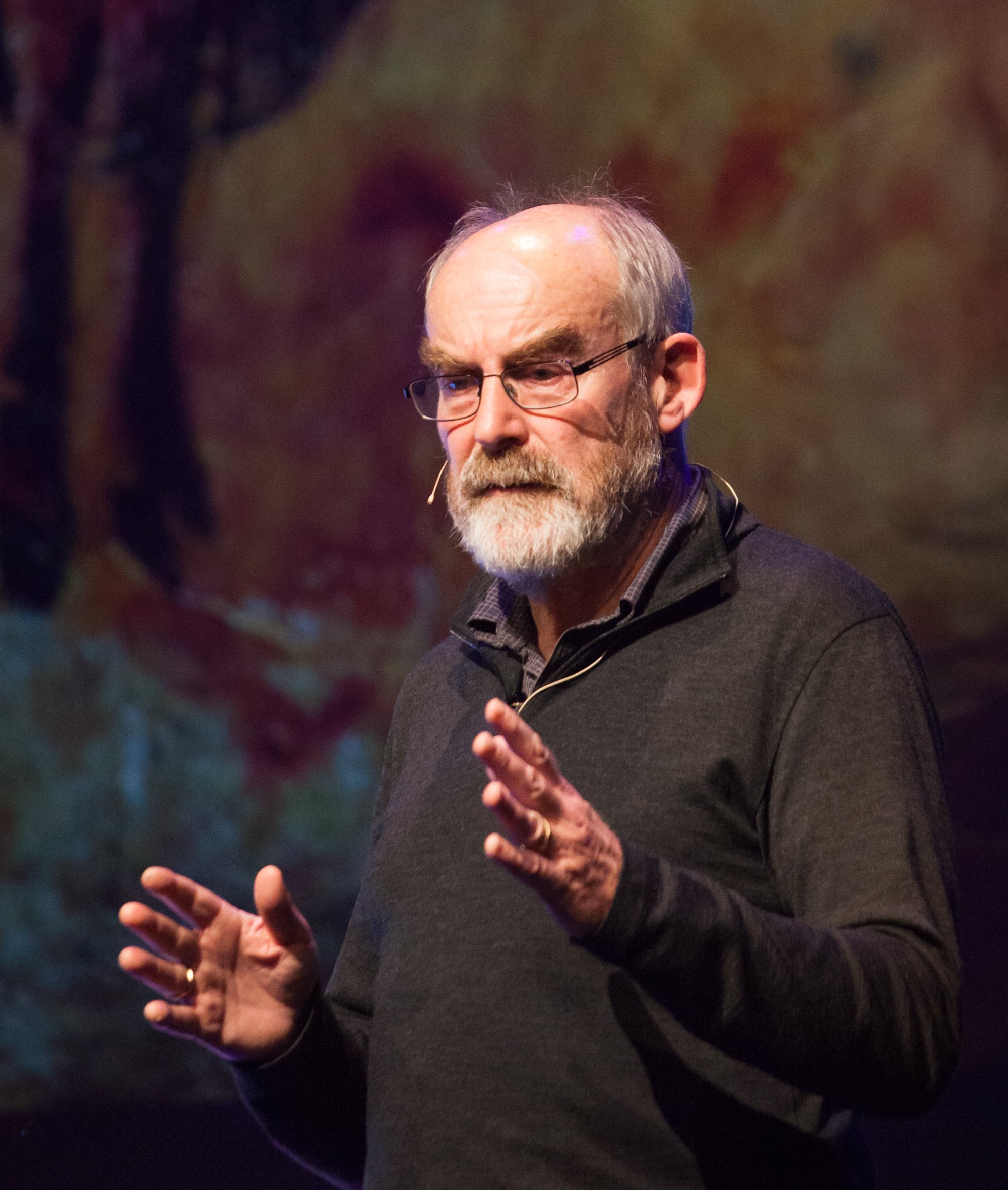 Two-day Cynefin & Agile Masterclass with Dave Snowden