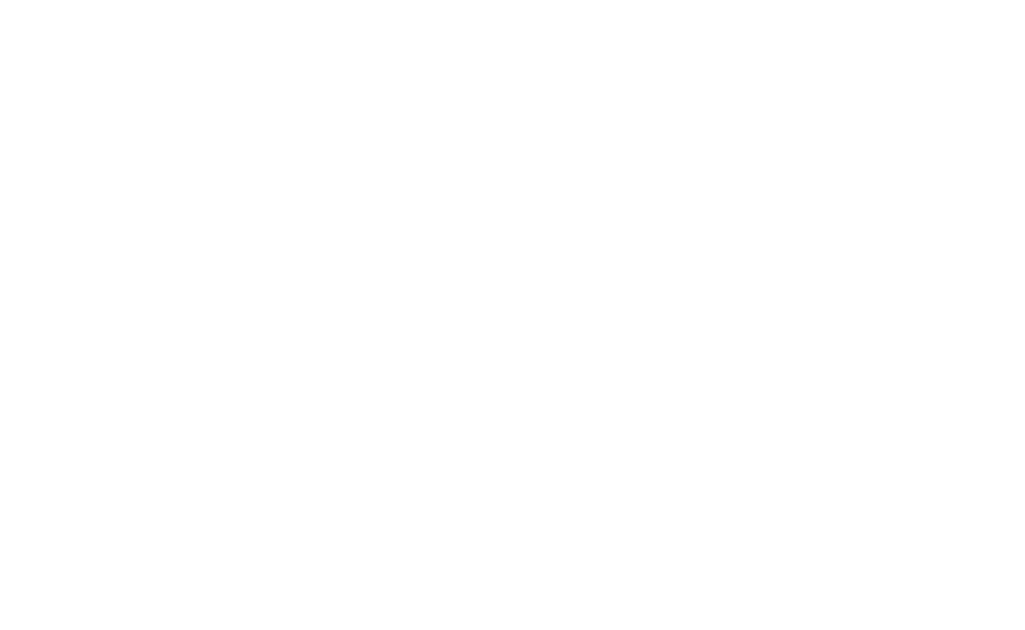 White logo on transparent background.png