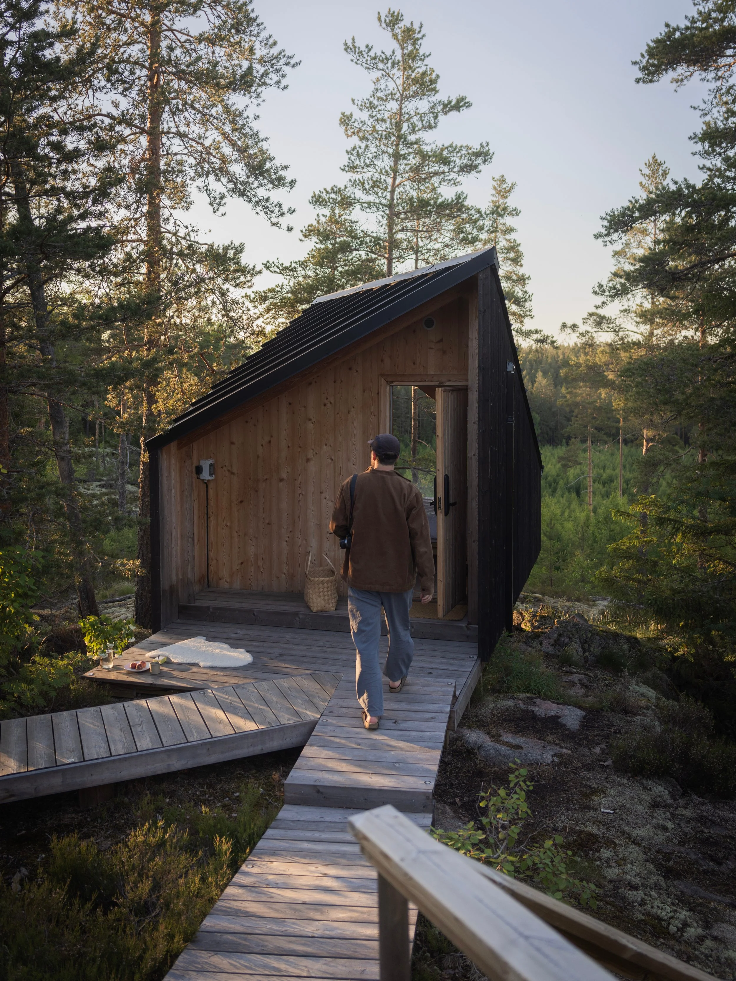 @XavierNora Hilltop Forest (1).jpg