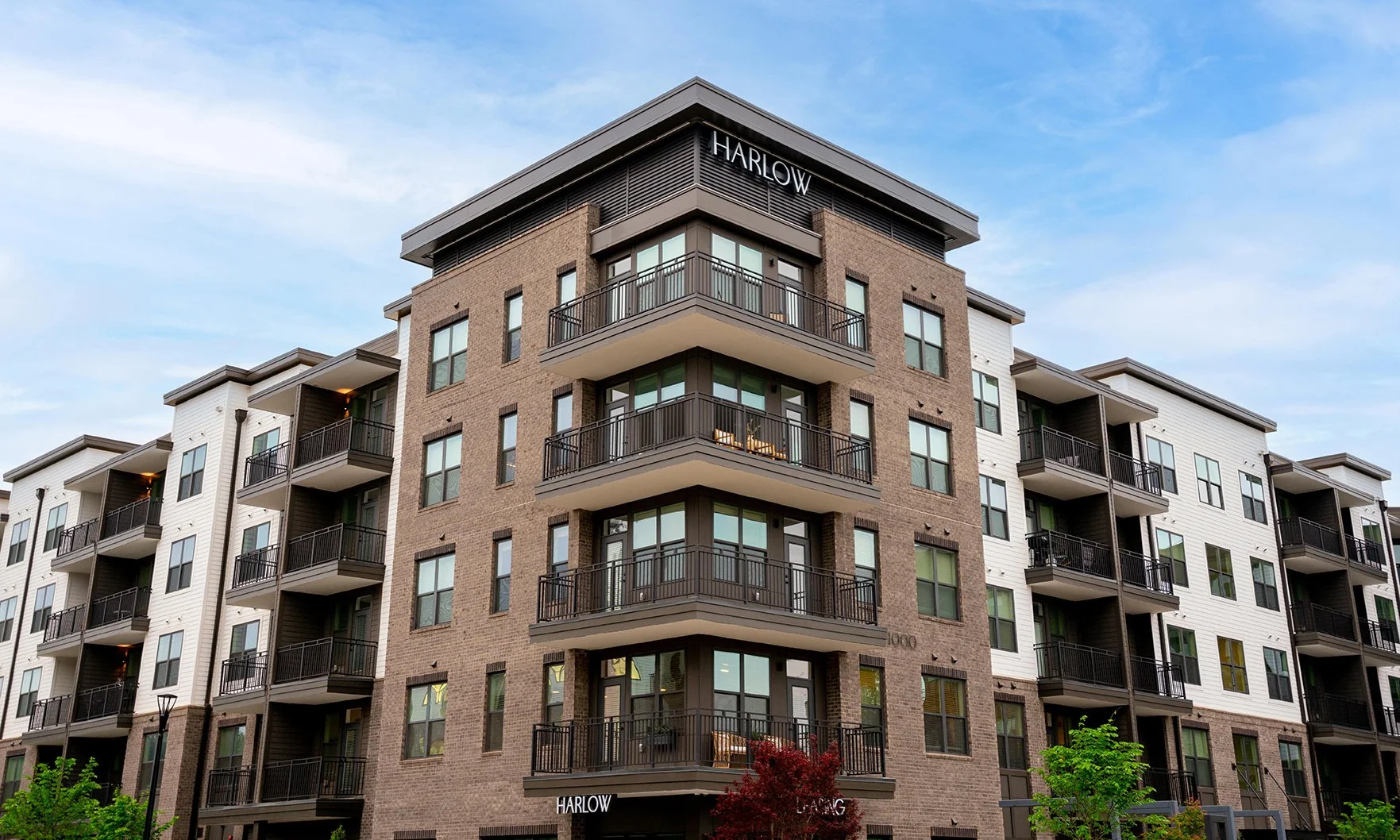 Harlow-Photo-1-1.jpg