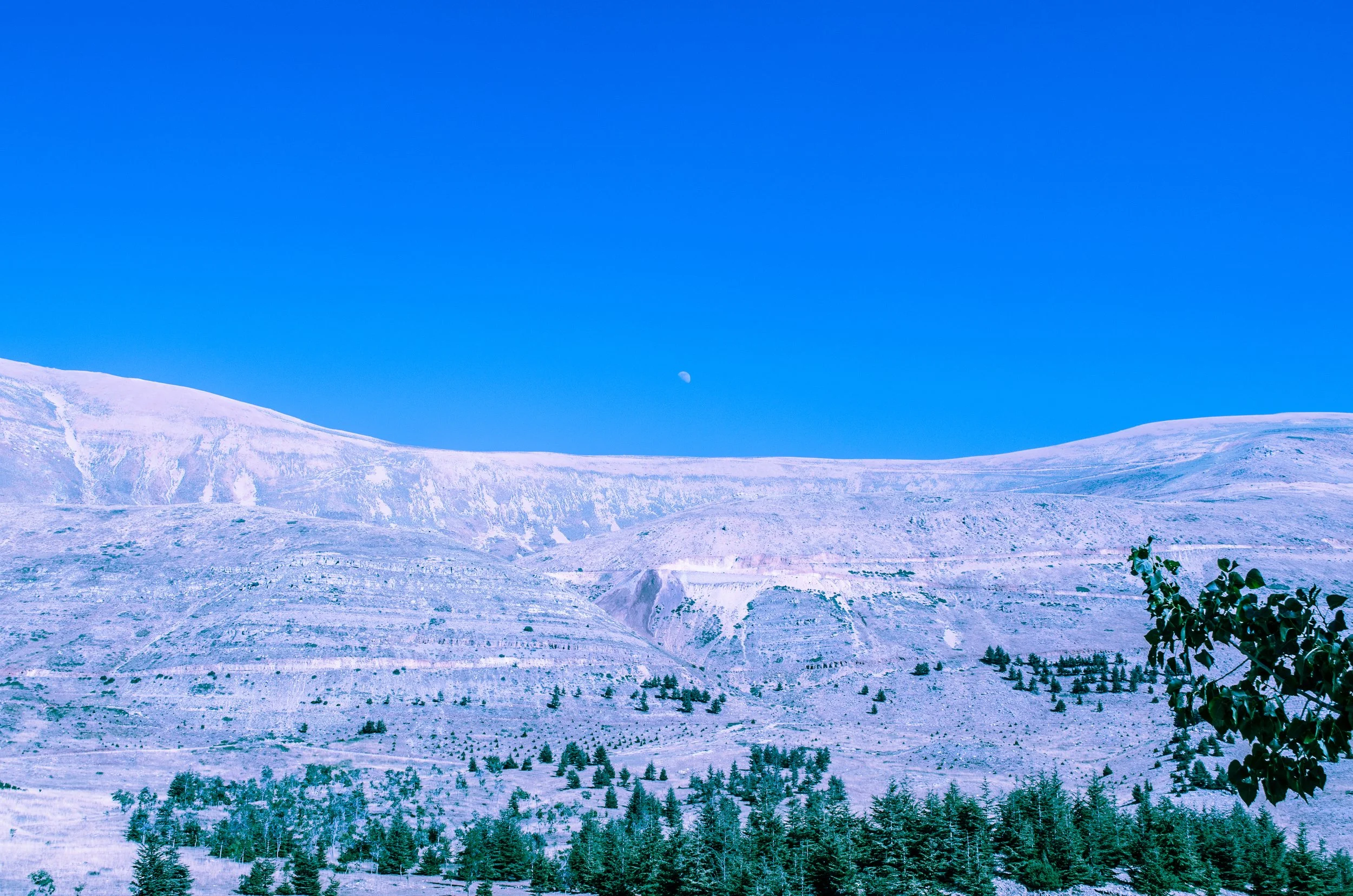 _DSC0150.jpg