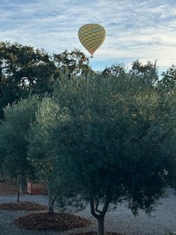 32FEF194-CE42-48BA-A5AB-FD5D1A491650_4_5005_c.jpeg
