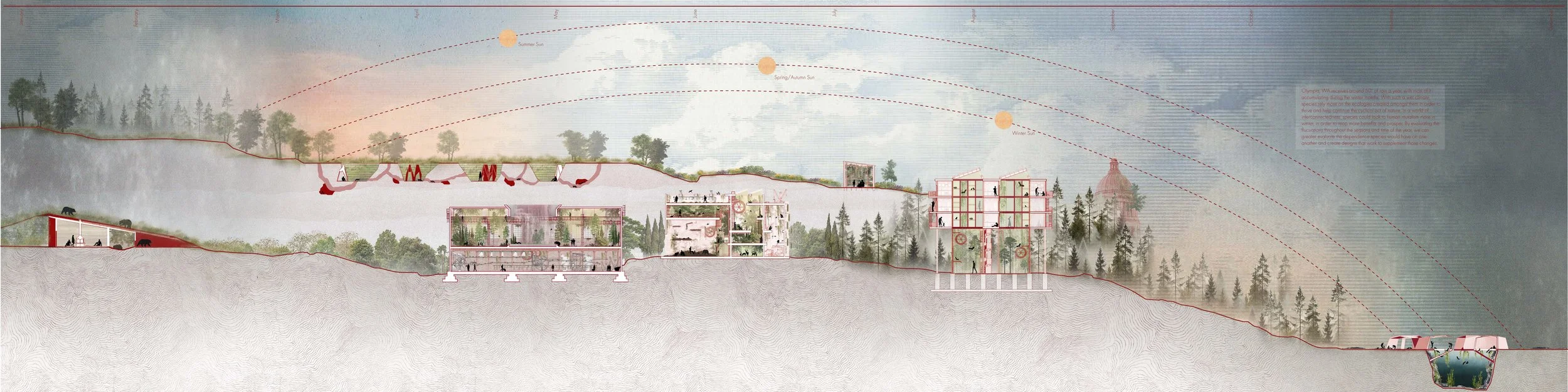 Arch 556 - Resonant Ecologies: Envisioning a Built Environment that Serves Nature