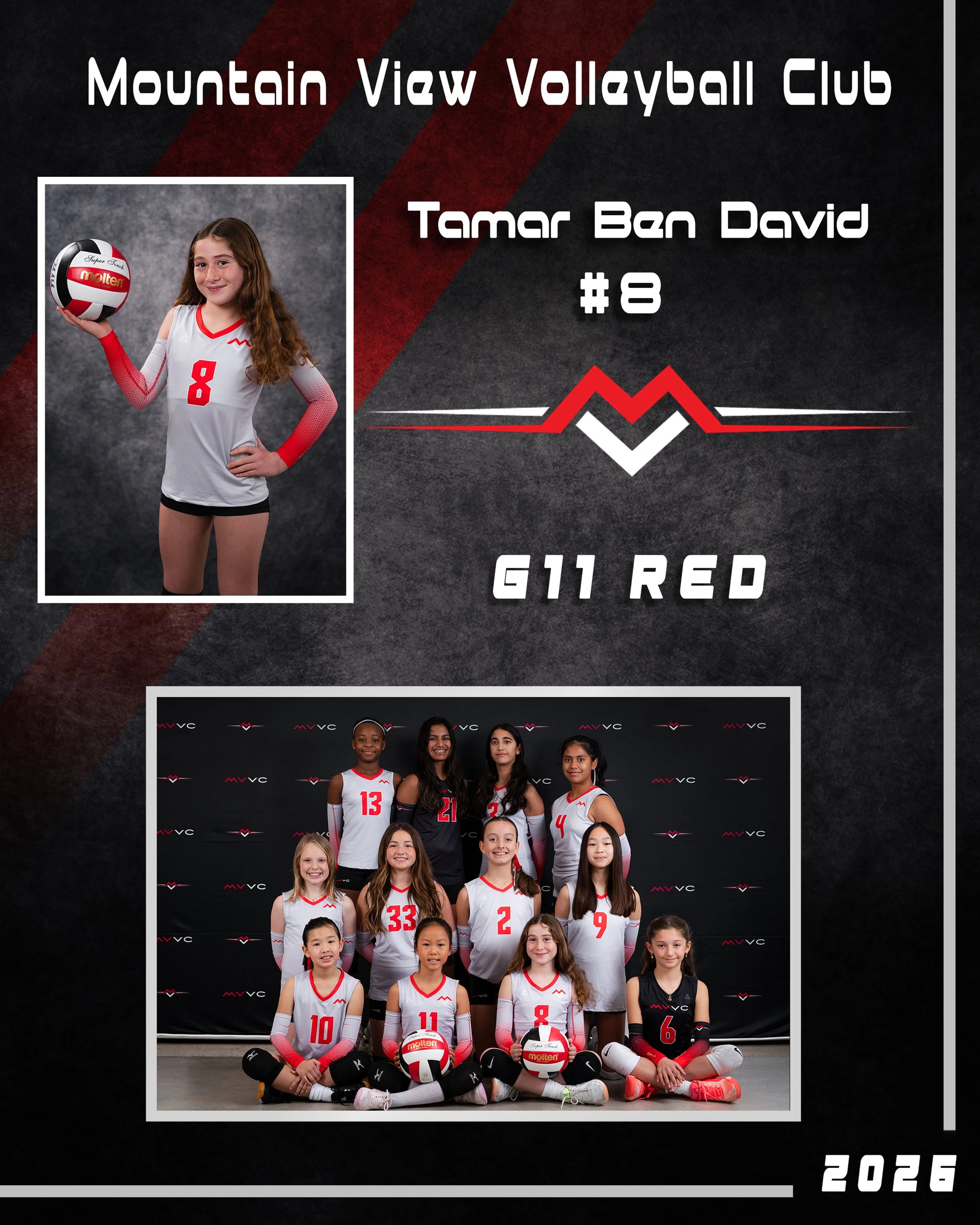 Standard Memory Mate 1@2x.jpg