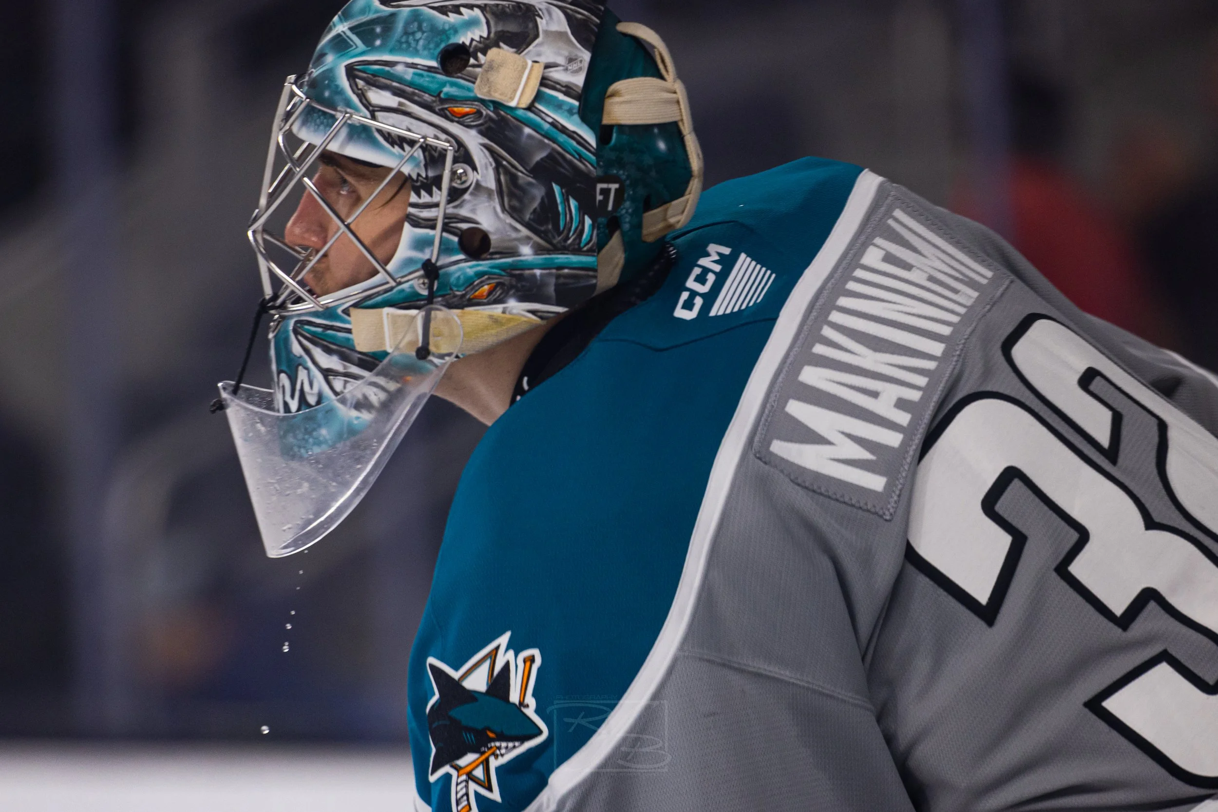 SJBarracuda-01269914 (1).jpeg