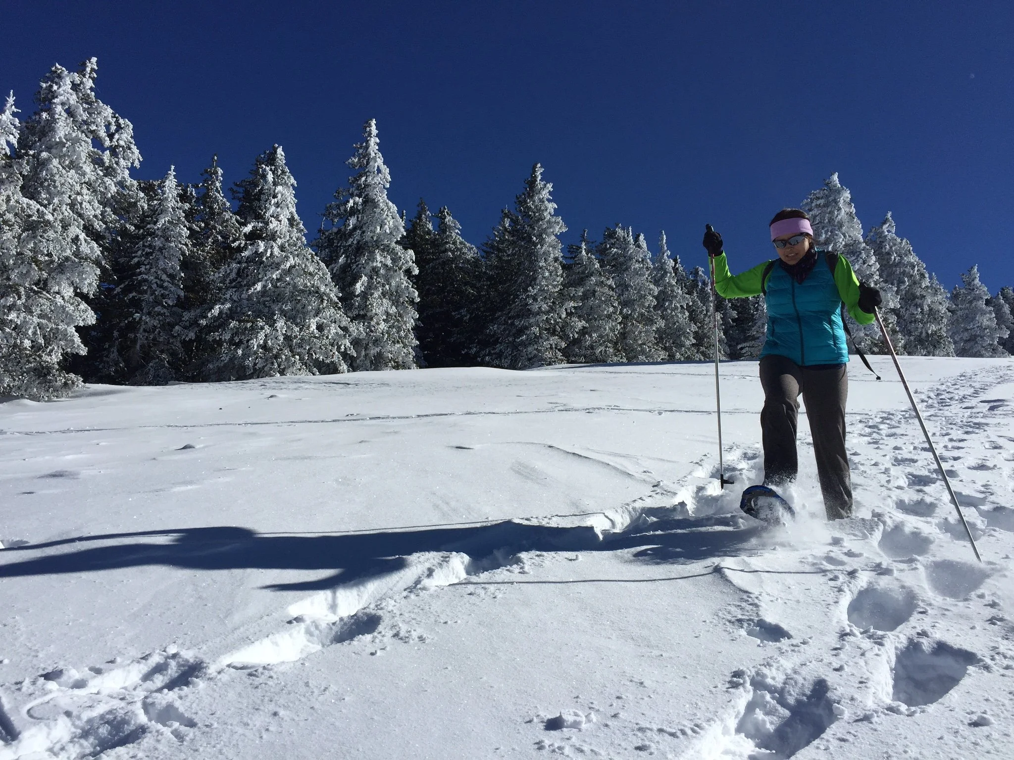 A woman snowshoeing in a snow-covered landscape with pine trees and a clear blue sky.