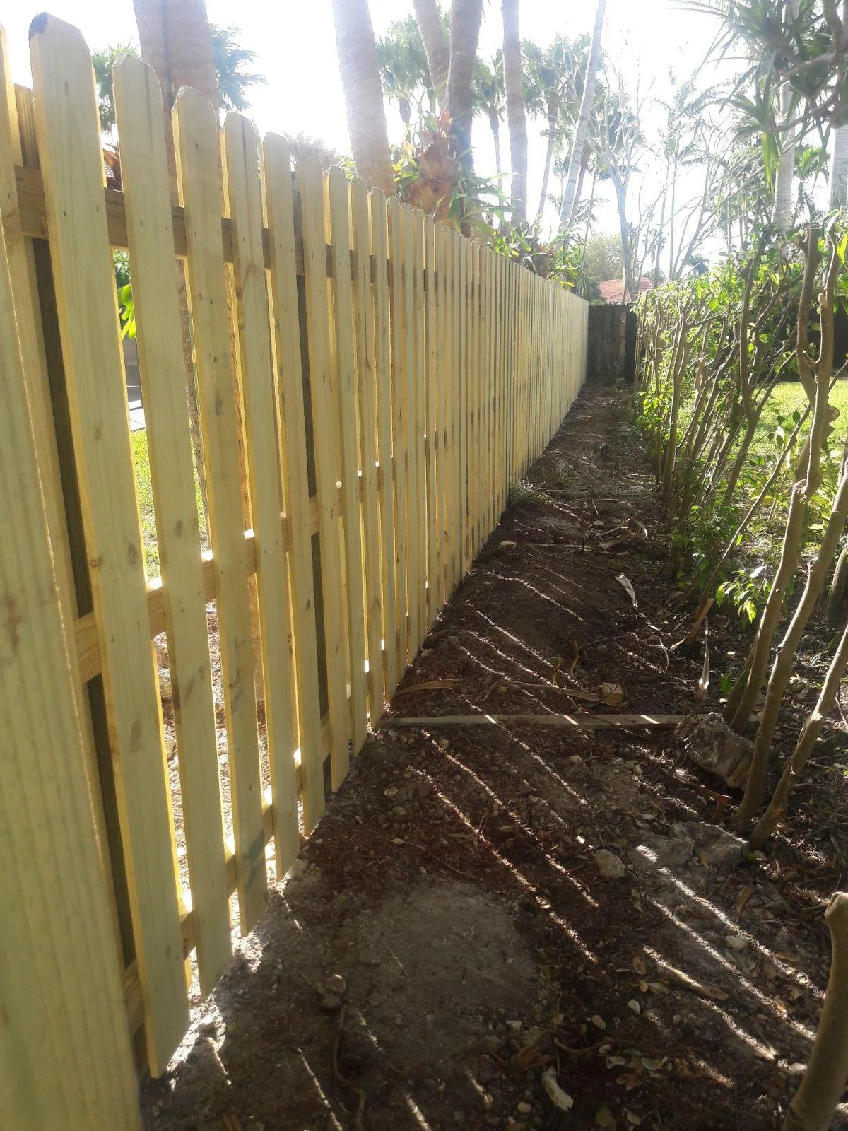 WhatsApp Image 2022-07-21 at 11.56.11 PM.jpeg