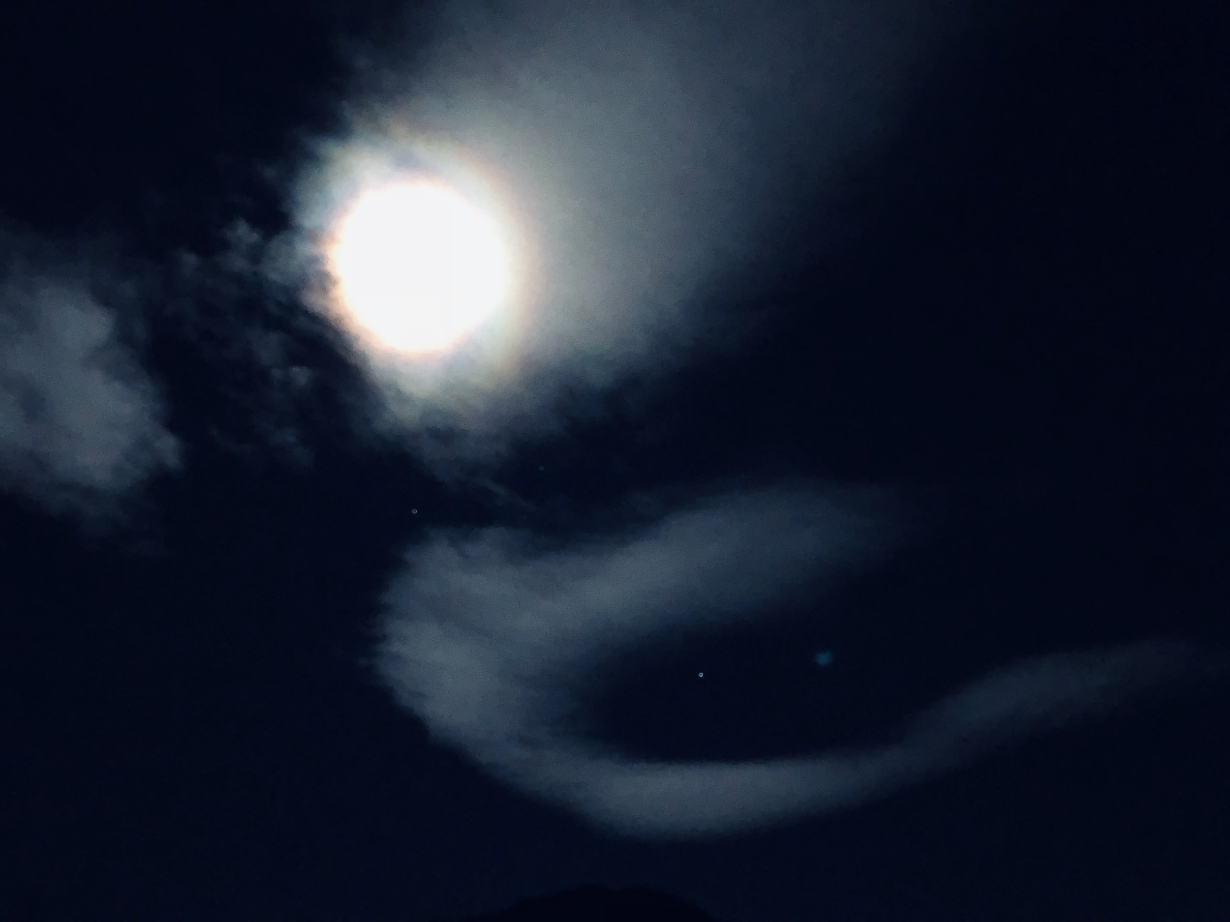 IMG_1293.jpeg