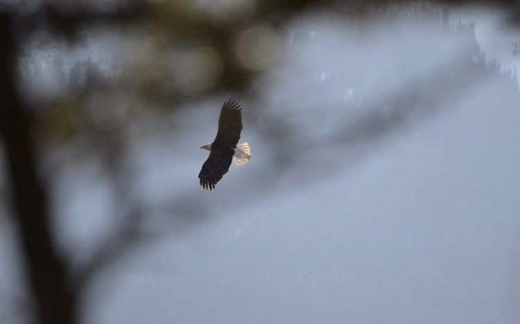 IMG_1980.jpeg