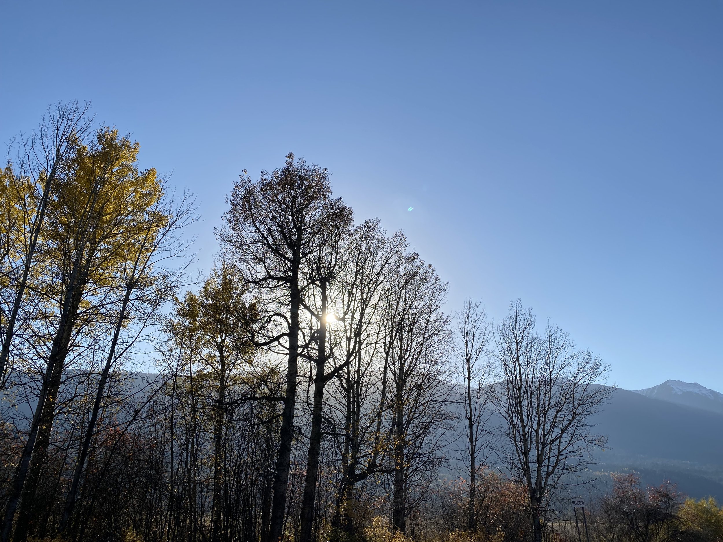 IMG_5696.jpeg