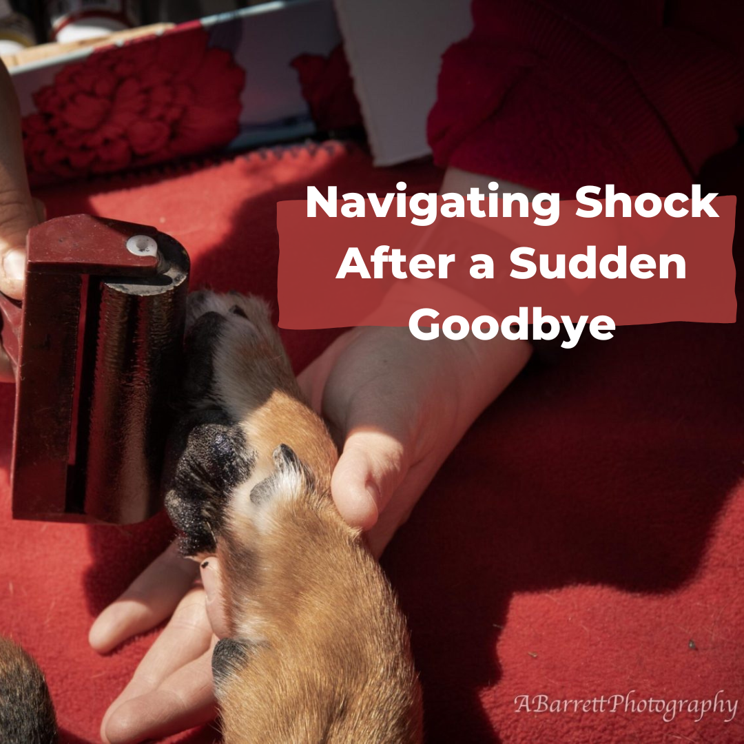 Navigating Shock After Sudden Goodbyes*