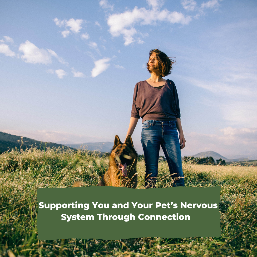 Grounding Together: Supporting You and Your Pet’s Nervous Systems Through Connection  