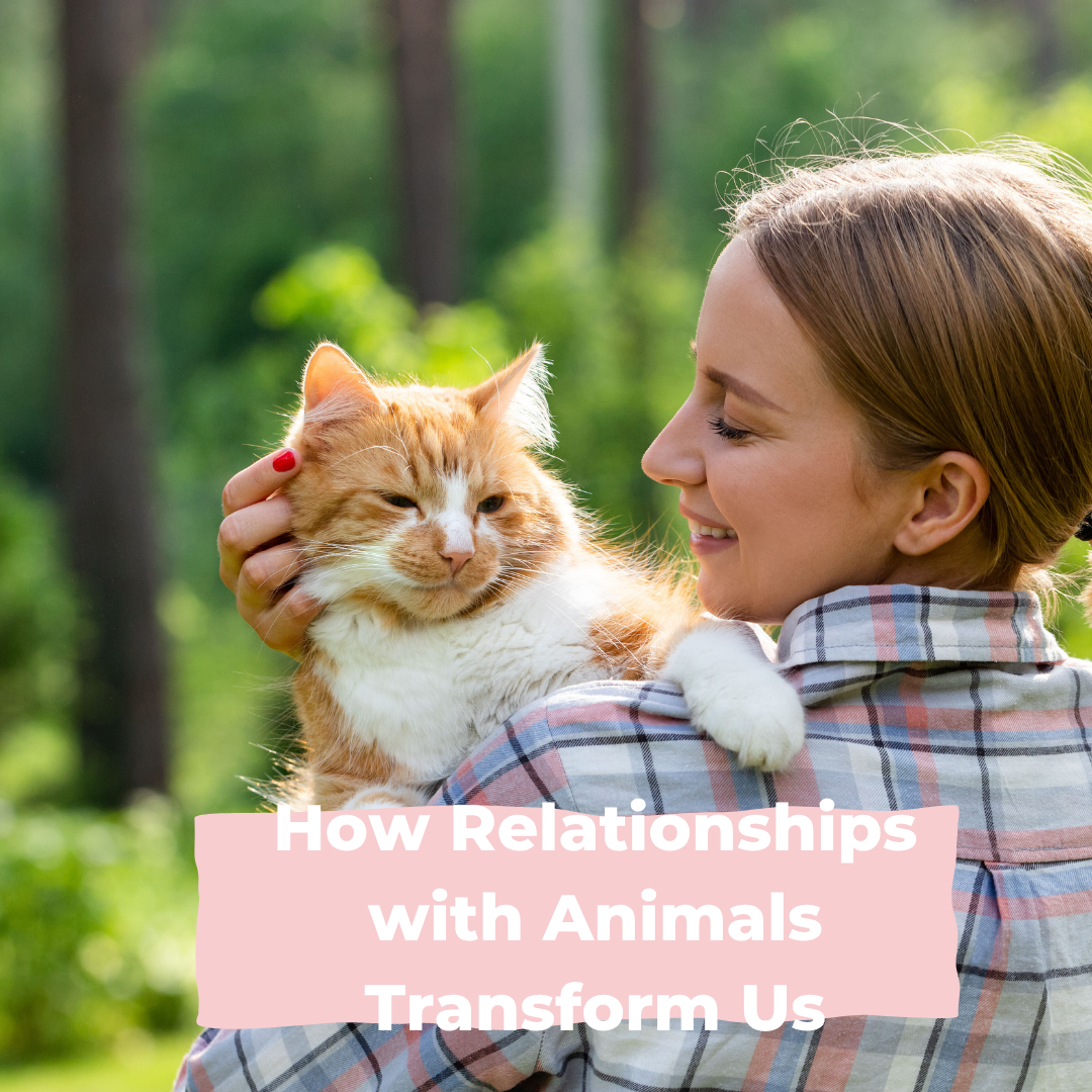 How Relationships with Animals Transform Us