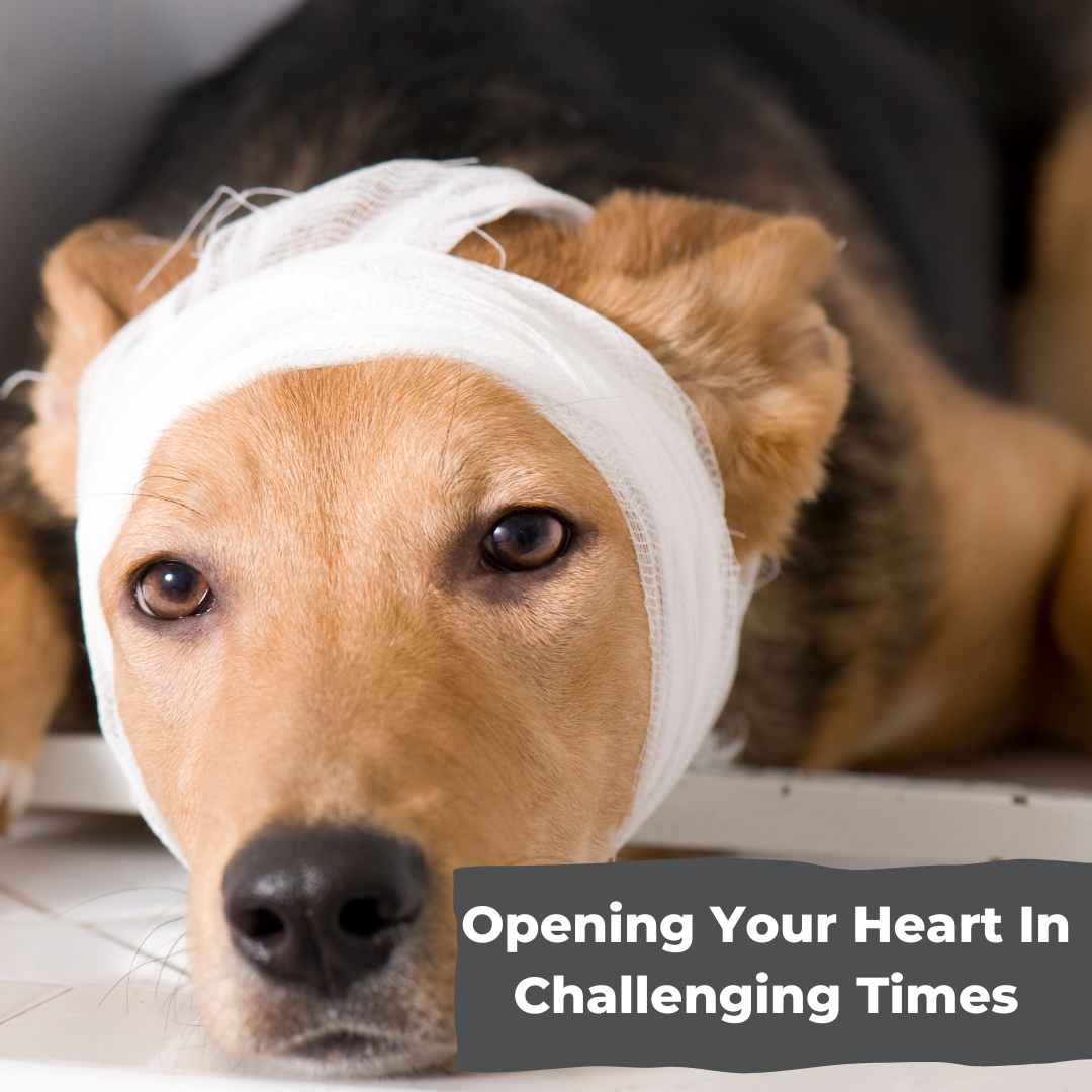 Opening Your Heart In Challenging Times