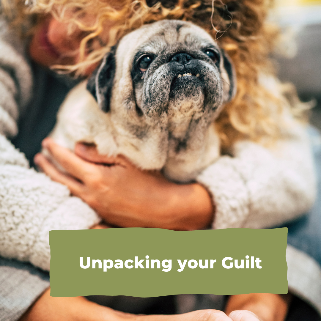Unpacking Your Guilt