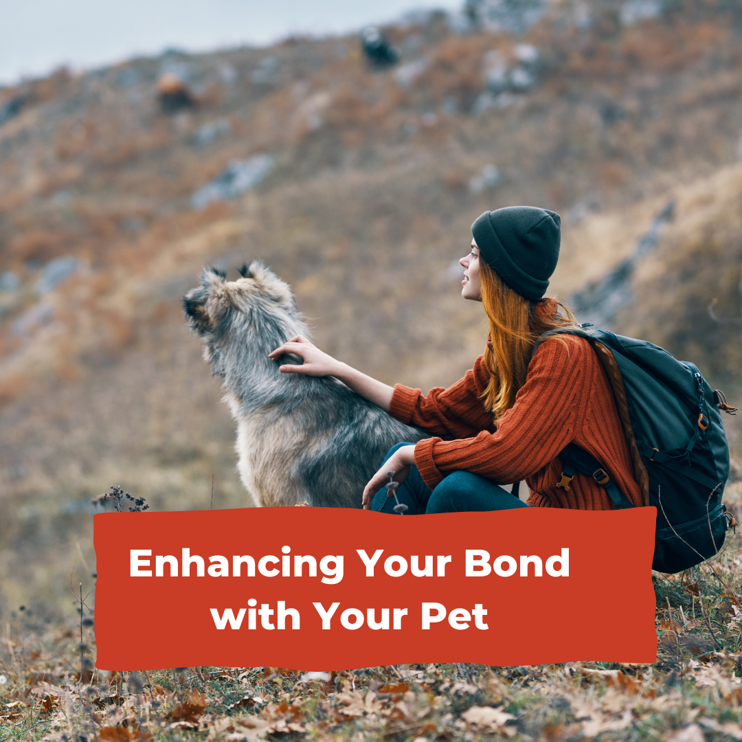 Enhancing Your Bond with Your Pet