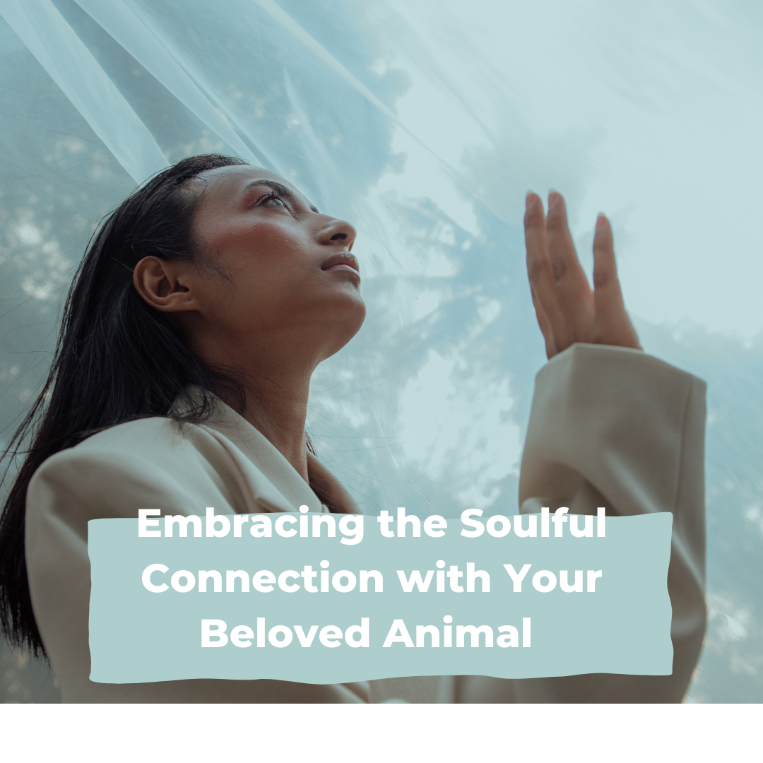Navigating Grief with an Open Heart: Embracing the Soulful Connection with Your Beloved Animal