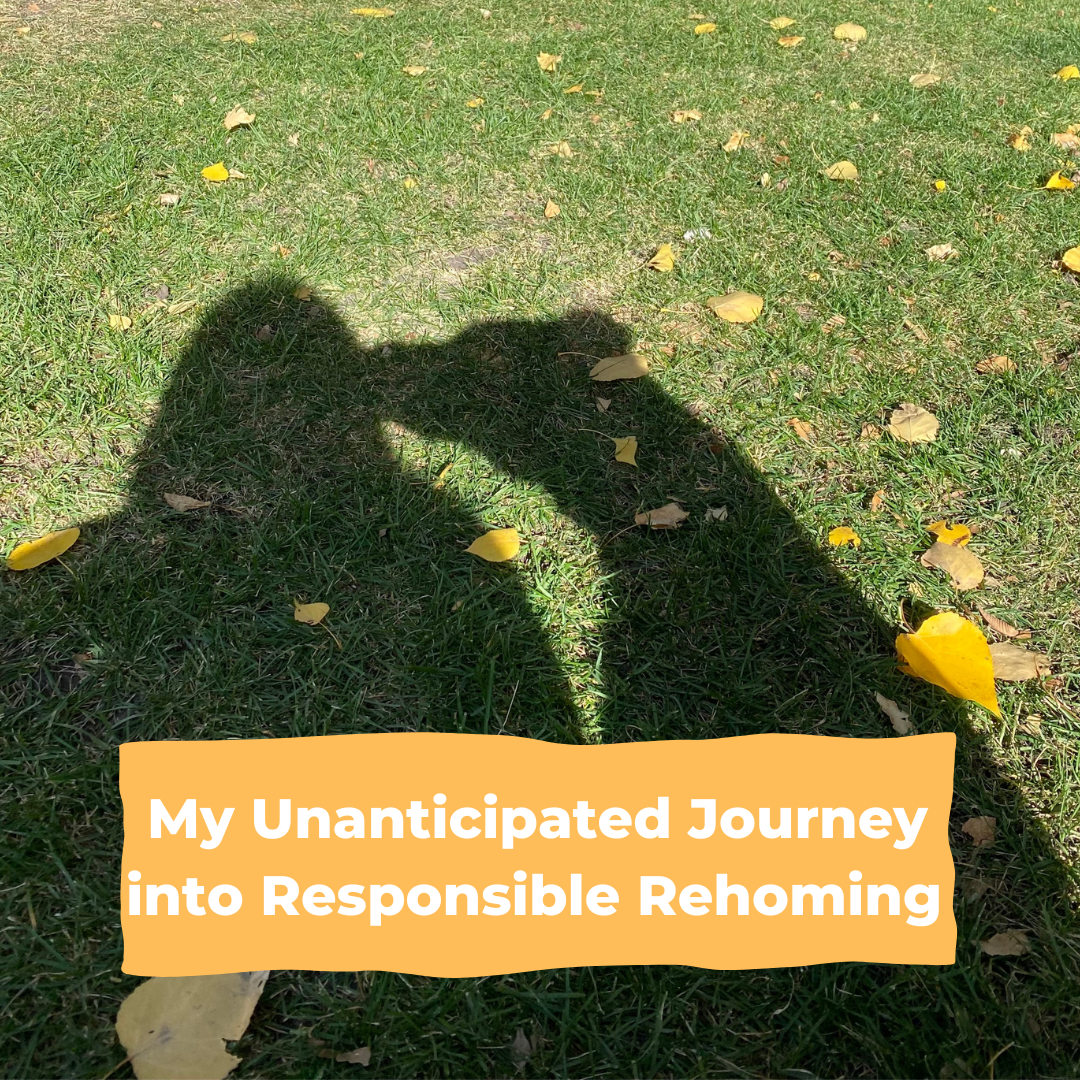 My Unanticipated Journey into Responsible Rehoming