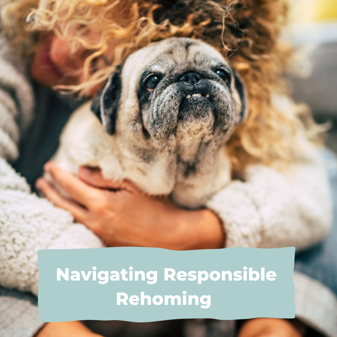Navigating Responsible Rehoming 