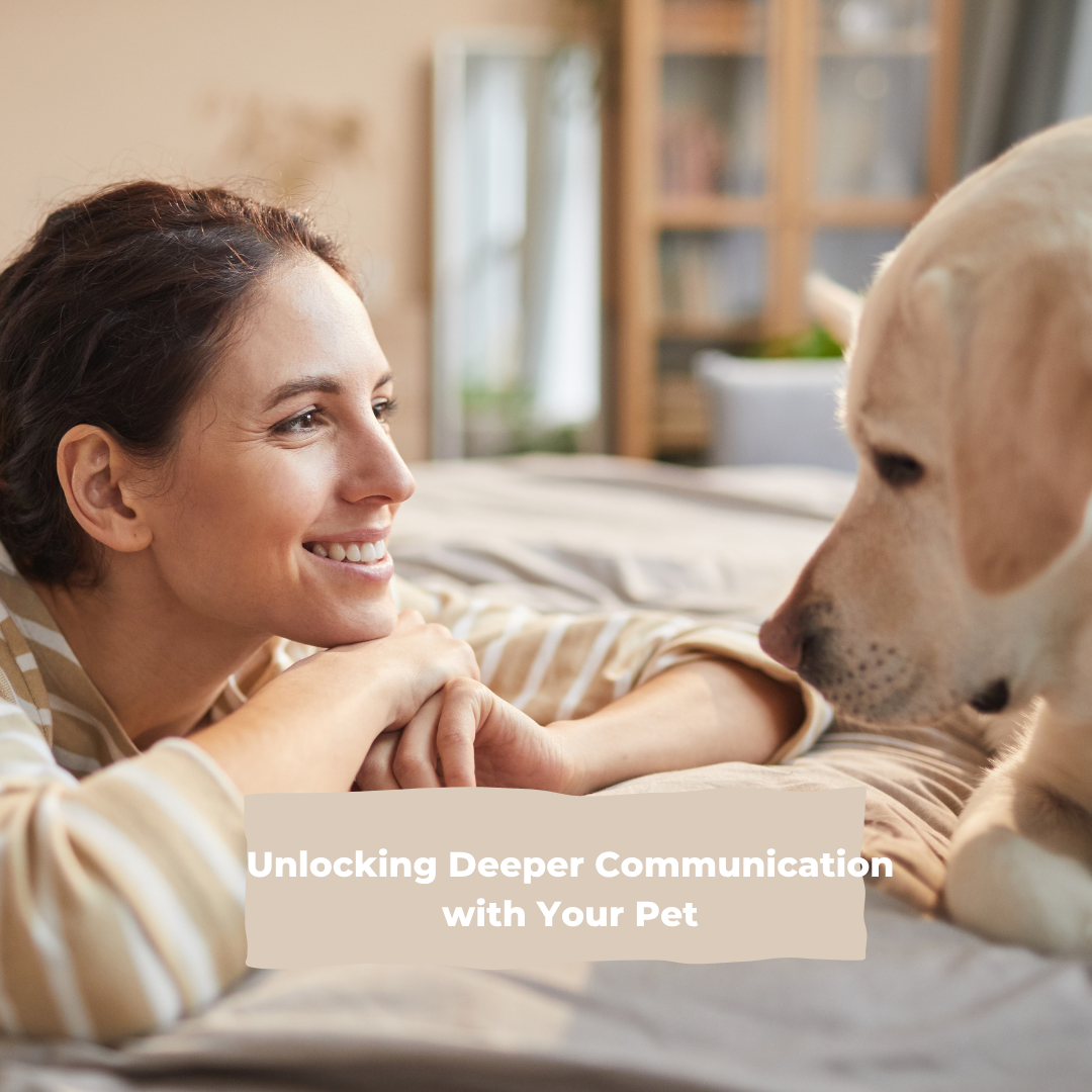 Words Matter: Unlocking Deeper Communication with Your Pet 