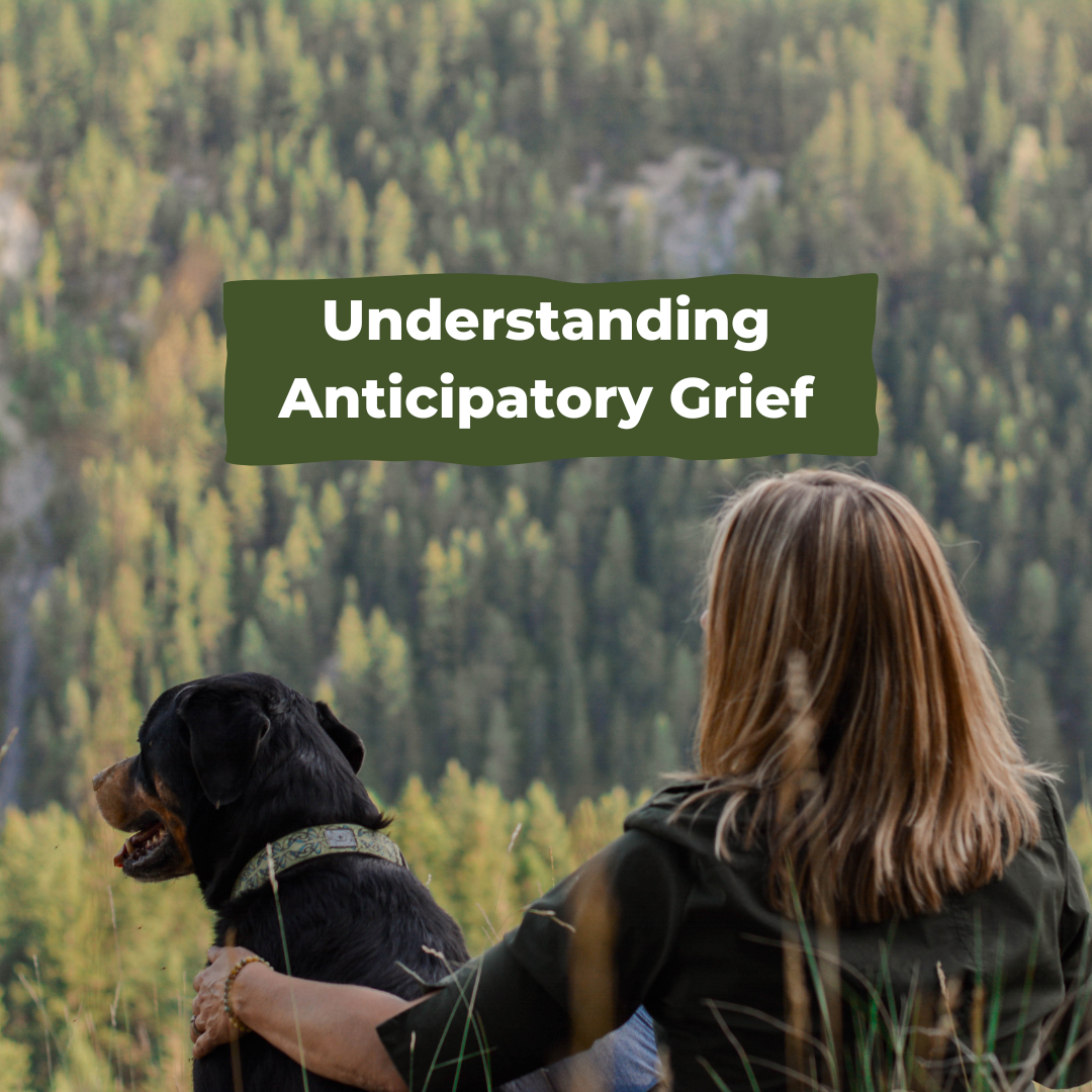 Understanding Anticipatory Grief 
