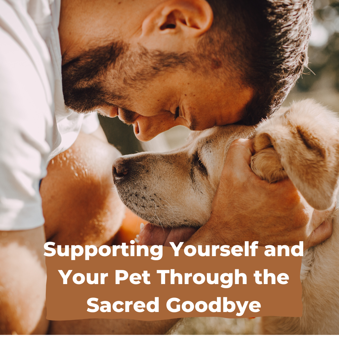 Supporting Yourself and Your Pet Through the Sacred Goodbye: Holding Steady in Uncertainty