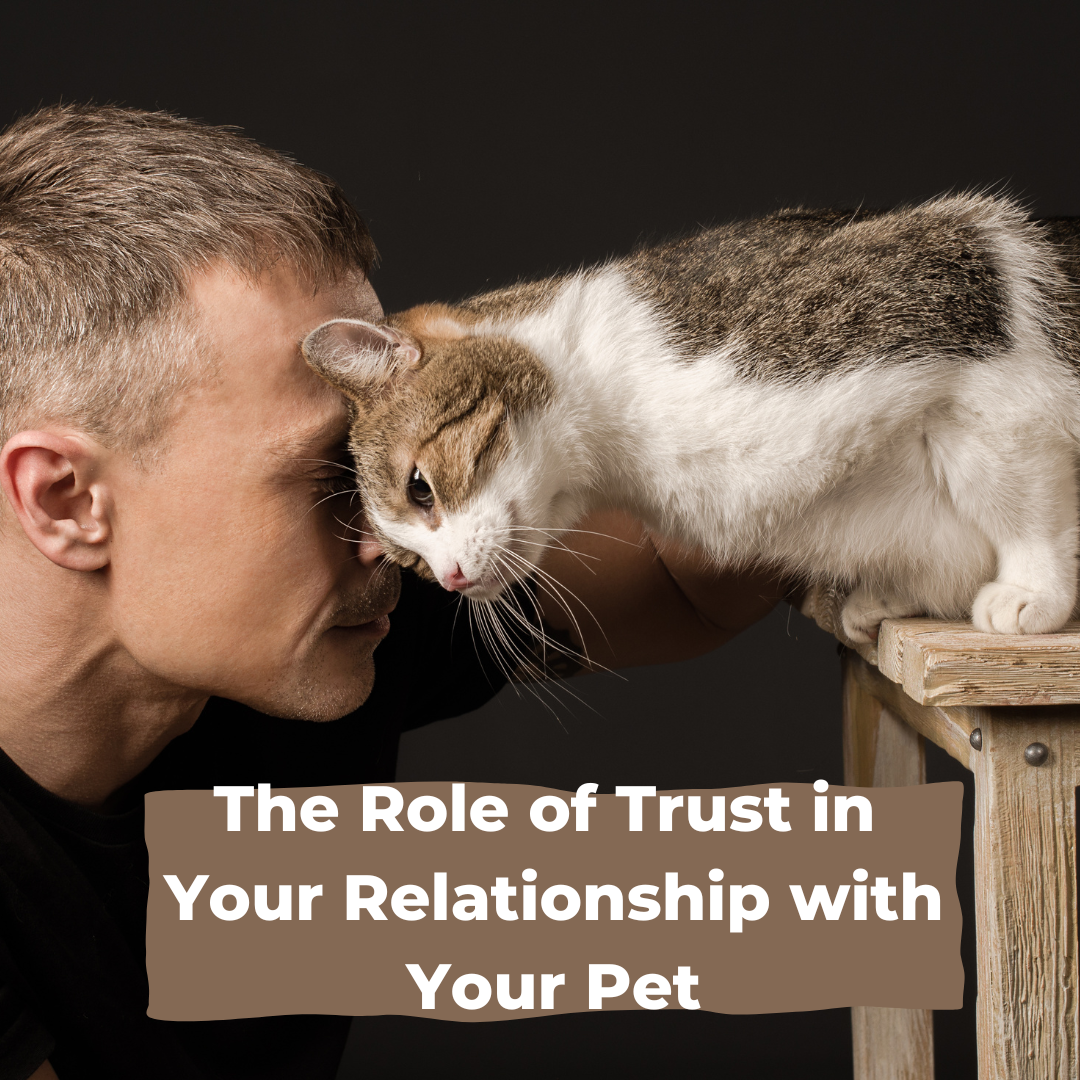 The Role of Trust in Relationships with Pets