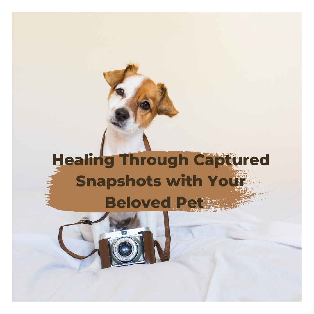 Healing Through Captured Snapshots with Your Beloved Pet