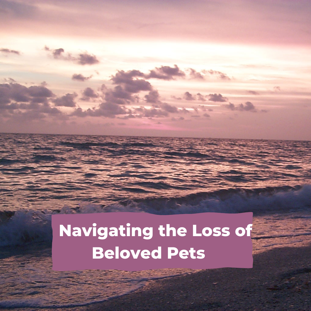 Navigating the Loss of a Beloved Pet: The Ebb and Flow of Grief