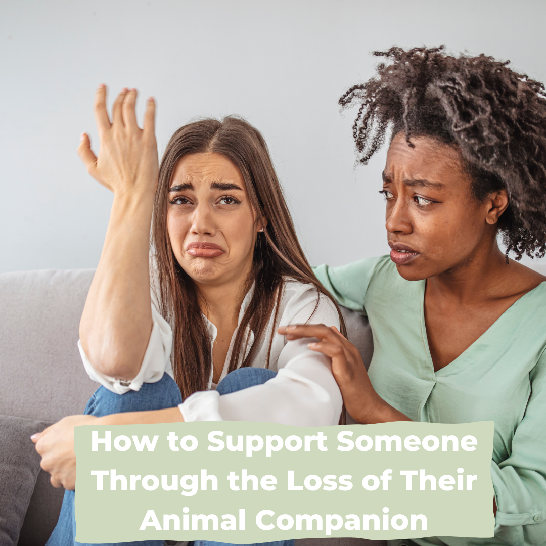 How to Support Someone Through the Loss of Their Animal Companion