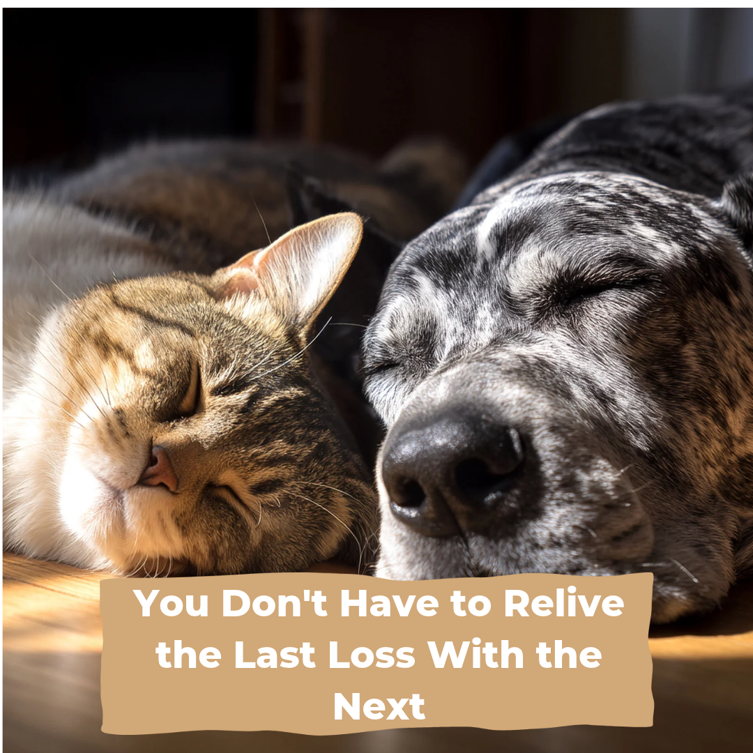 You Don't Have to Relive the Last Loss With the Next 