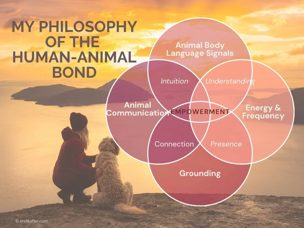 Human-animal Bond Venn- aniaml body language, energy and frequency, grounding and aniamlcommunication- opens to connection, intuition, understanding and presence- all lead to empowerment in a relationship