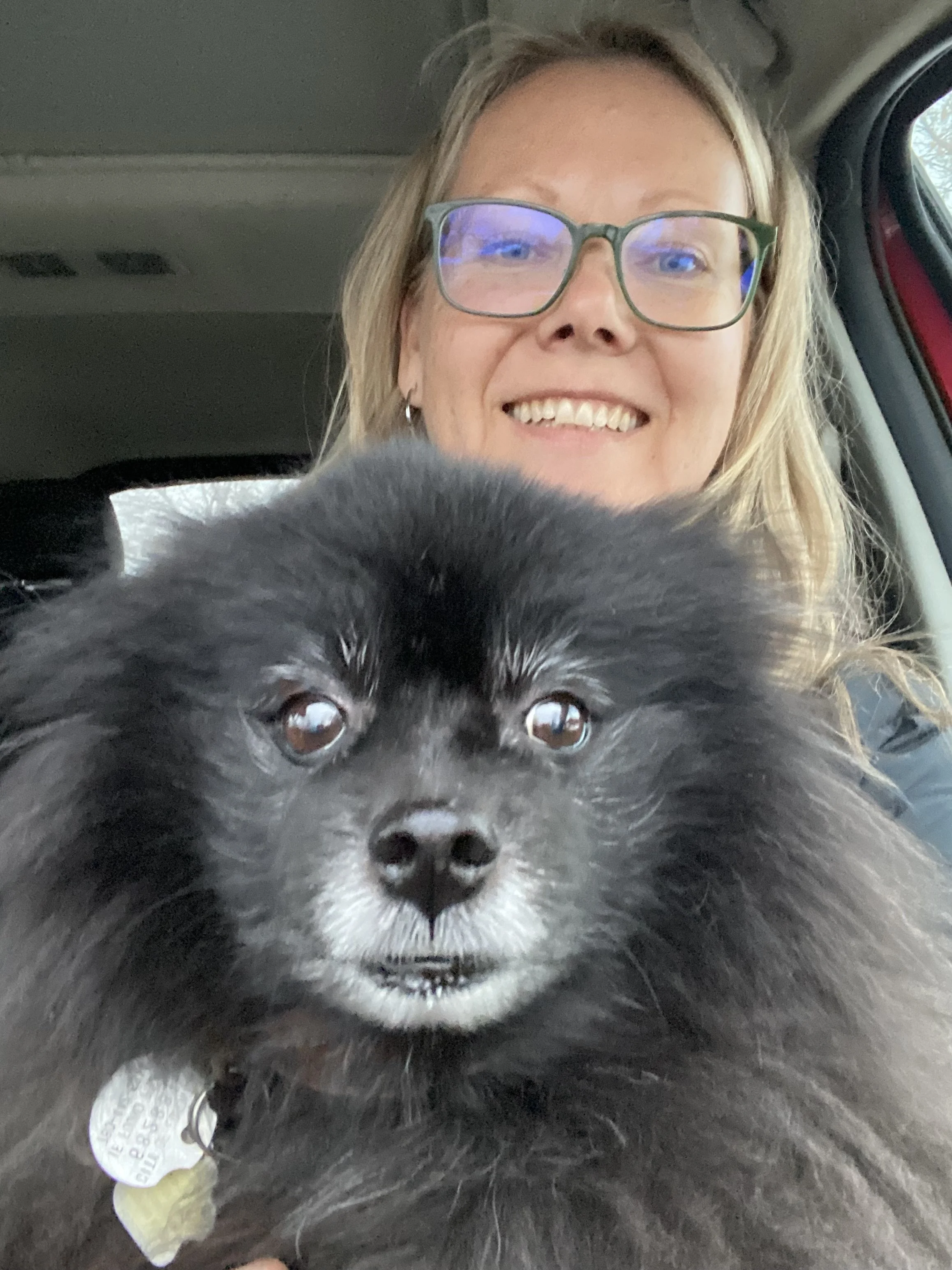Headshots of Hana holding teddy a black senior Pomeranian with greying muzzle