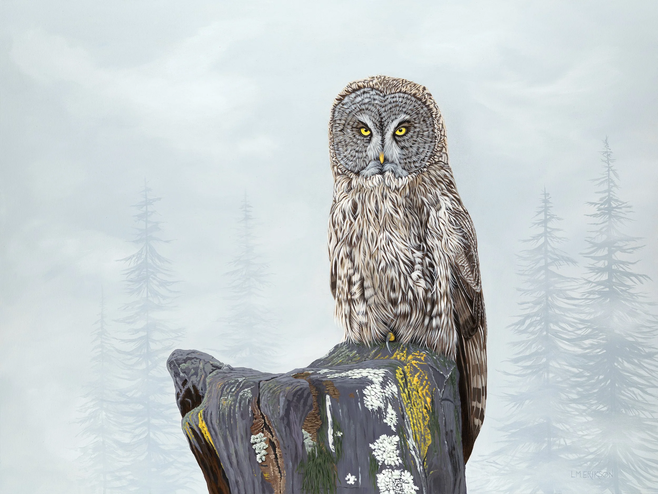 'Great Gray Owl' - Acrylic on Canvas 30 x 40 in