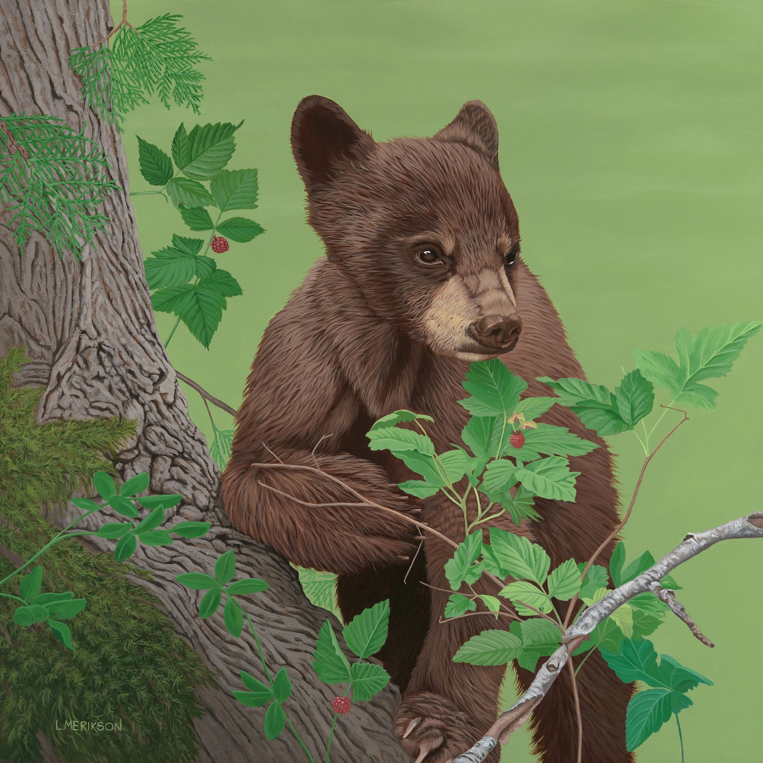 'Little Explorer' - Acrylic on Canvas - 30 x 30 in