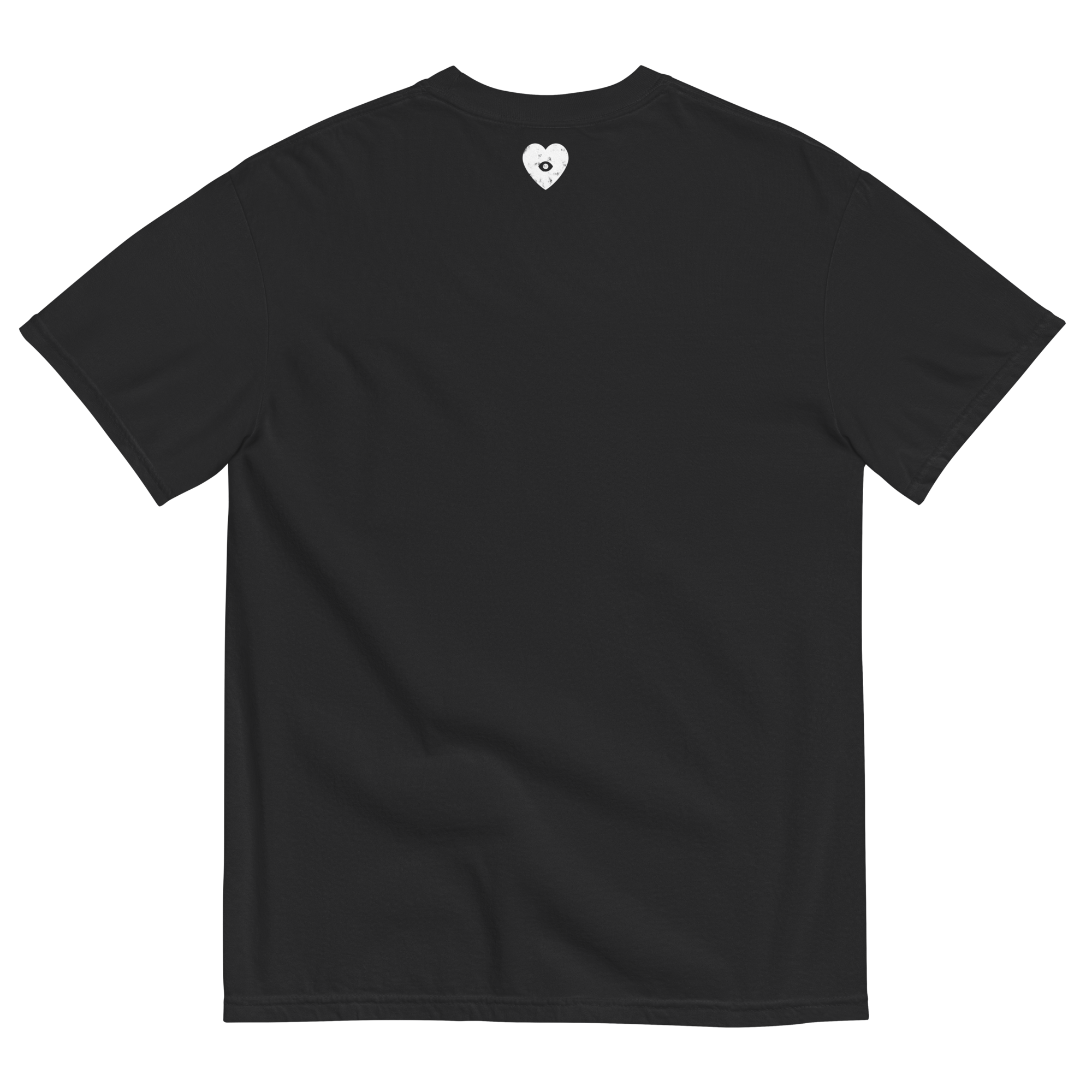 unisex-garment-dyed-heavyweight-t-shirt-black-back-683a201d5de40.png