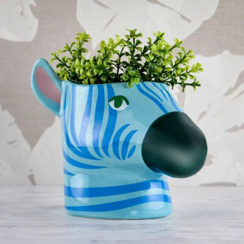 fiz270_blue_zebra_plant_pot_1.jpg