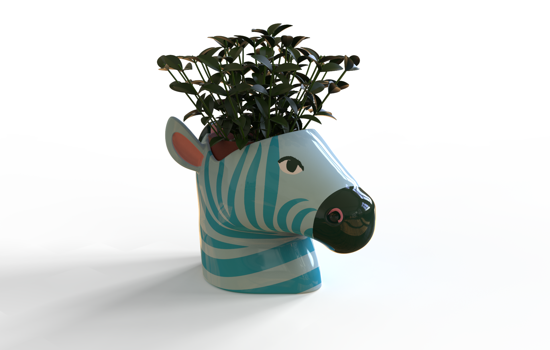 Zebra Plant Pot