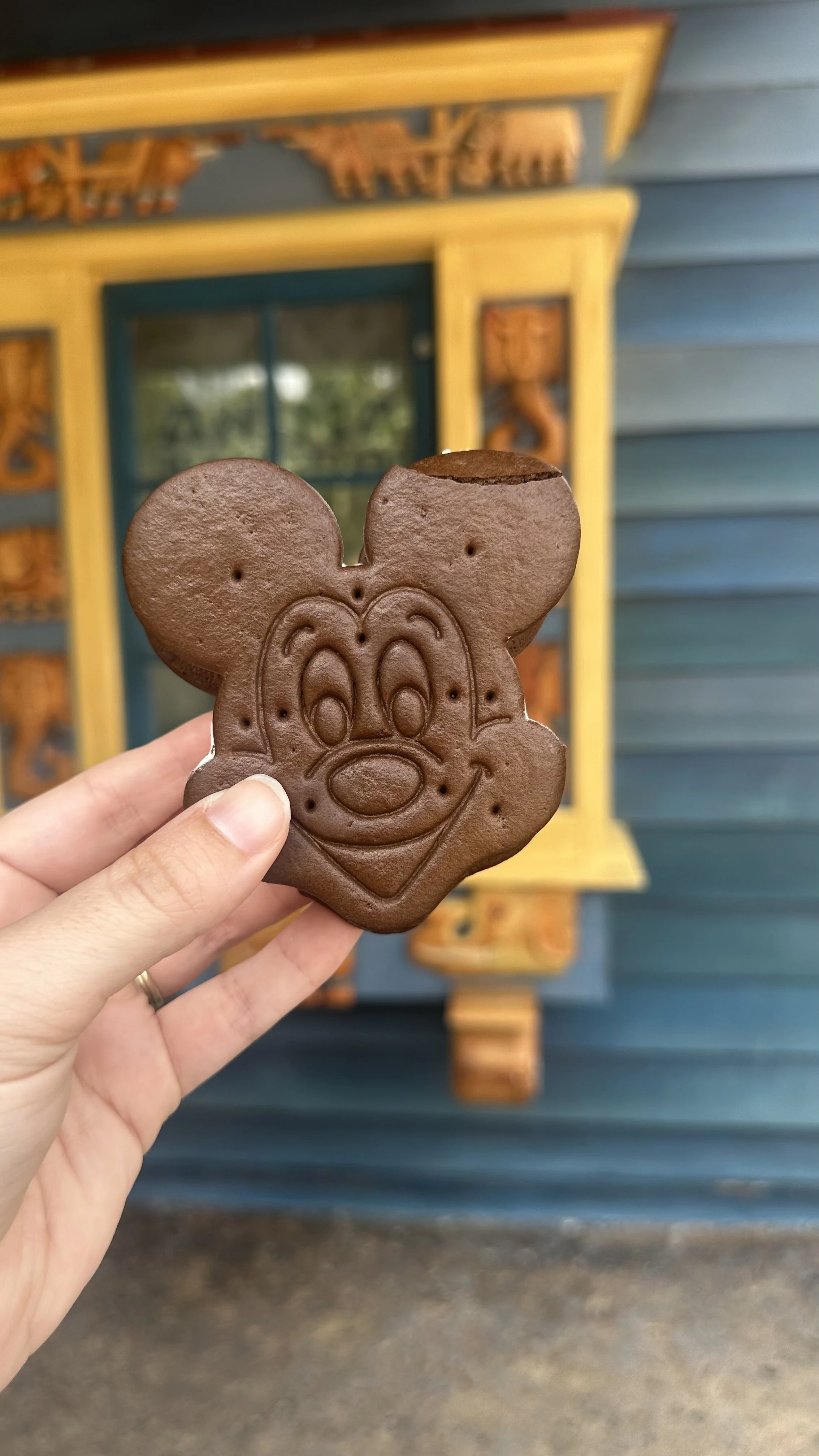 ak ice cream sandwich.JPG