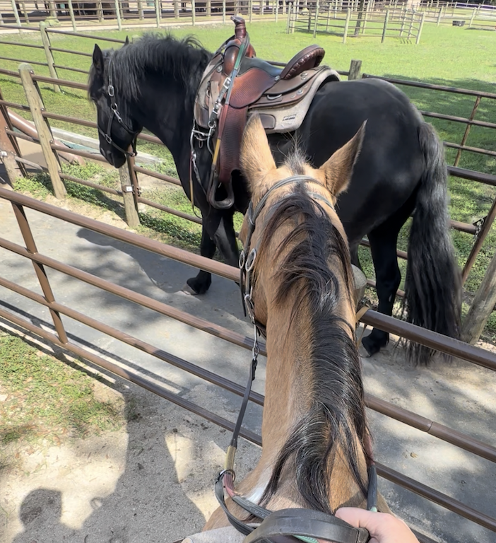 Screenshot 2026-01-05 at 2.35.32 PM.png