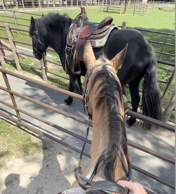 Screenshot 2026-01-05 at 2.49.56 PM.png