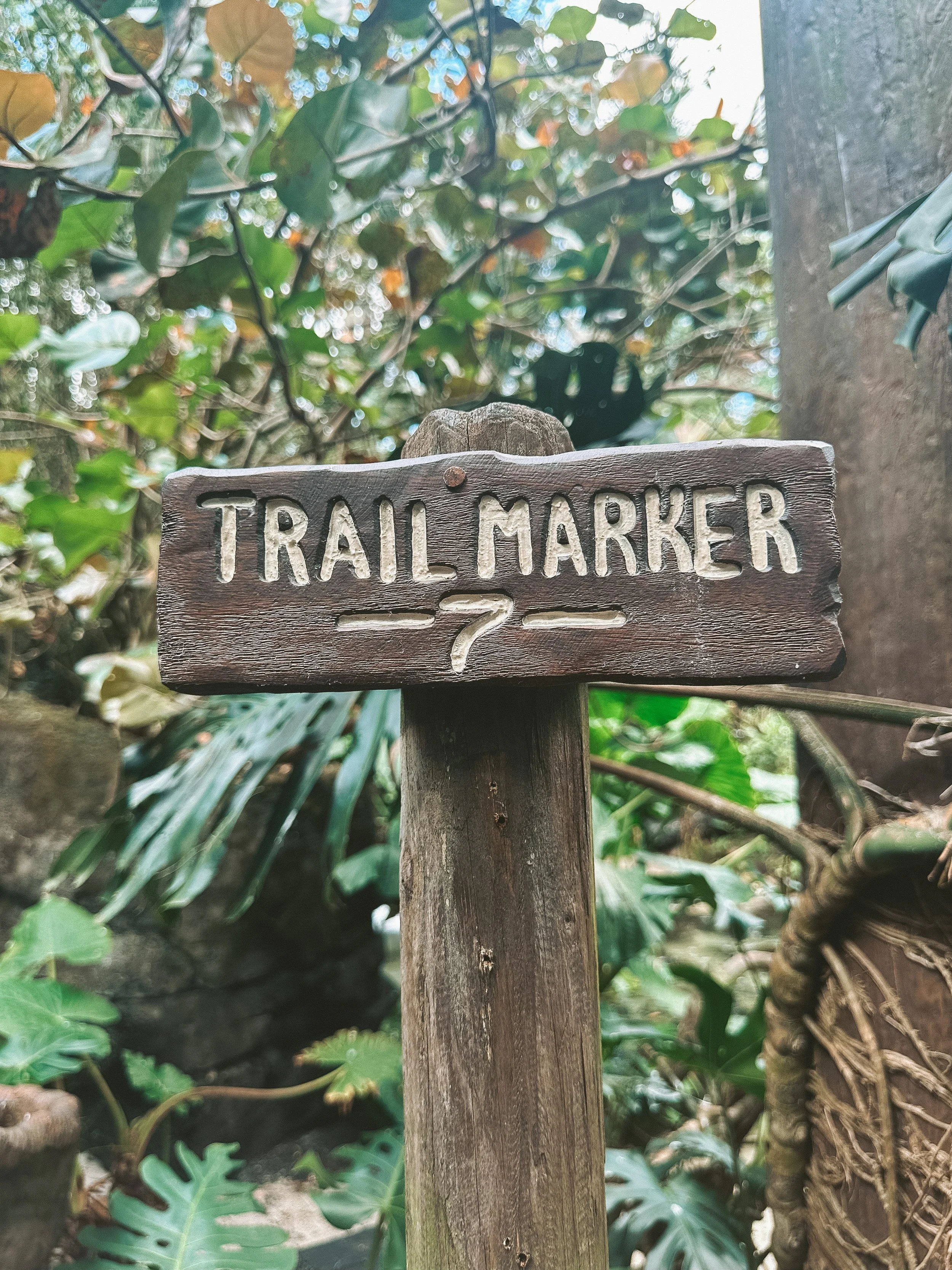 Rediscovering Disney: Attractions You May Have Overlooked