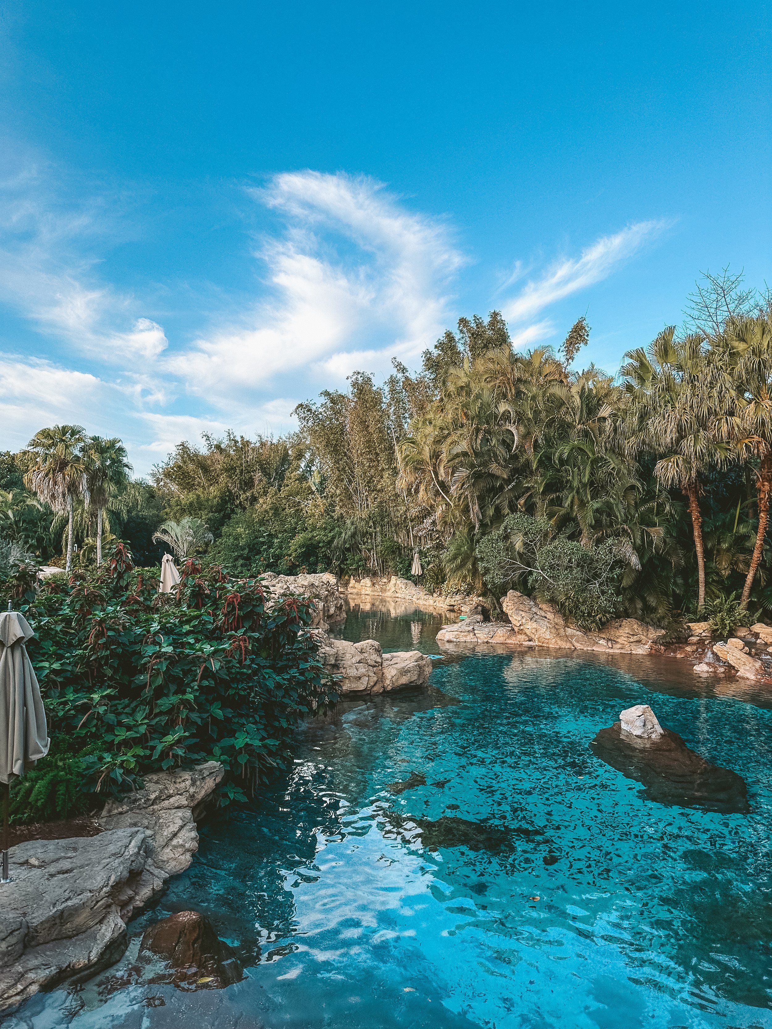 Why Discovery Cove Is My New Must-Do Orlando Rest Day