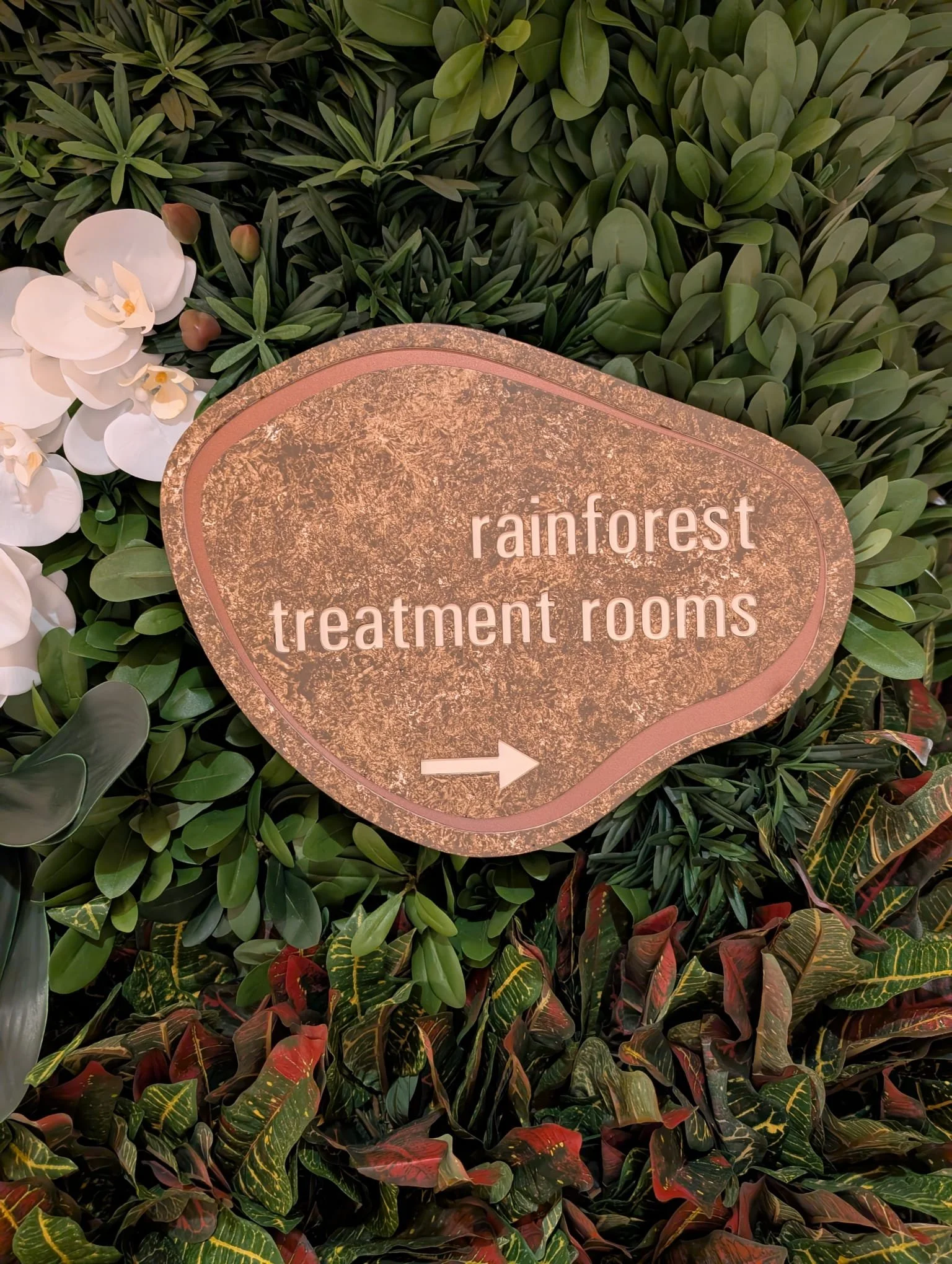 Senses Spa and Salon on Disney Cruise Line